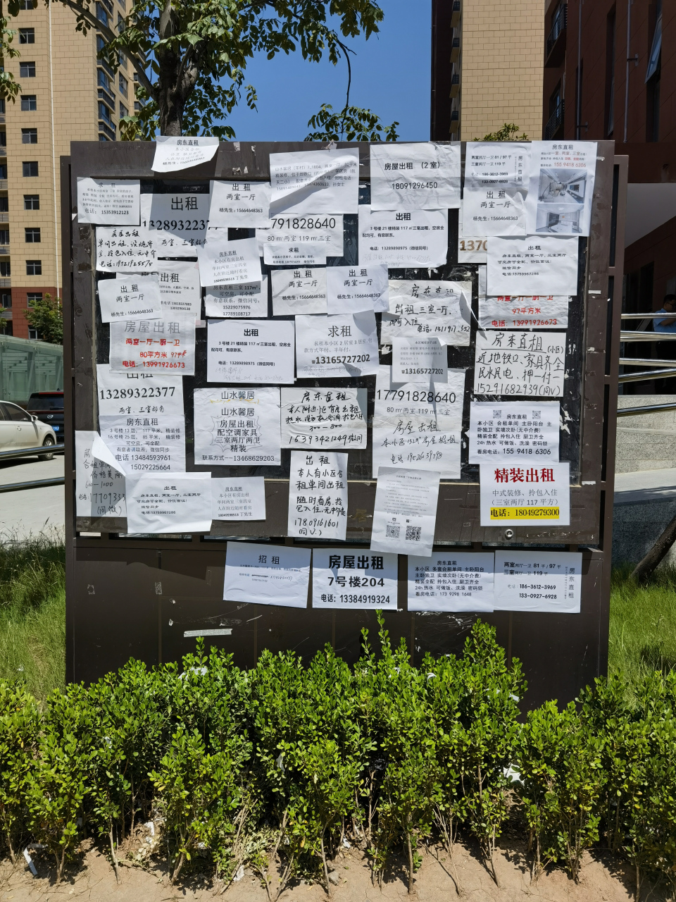 山水馨居出租广告张贴有所规范 67         67几天前,我注意到