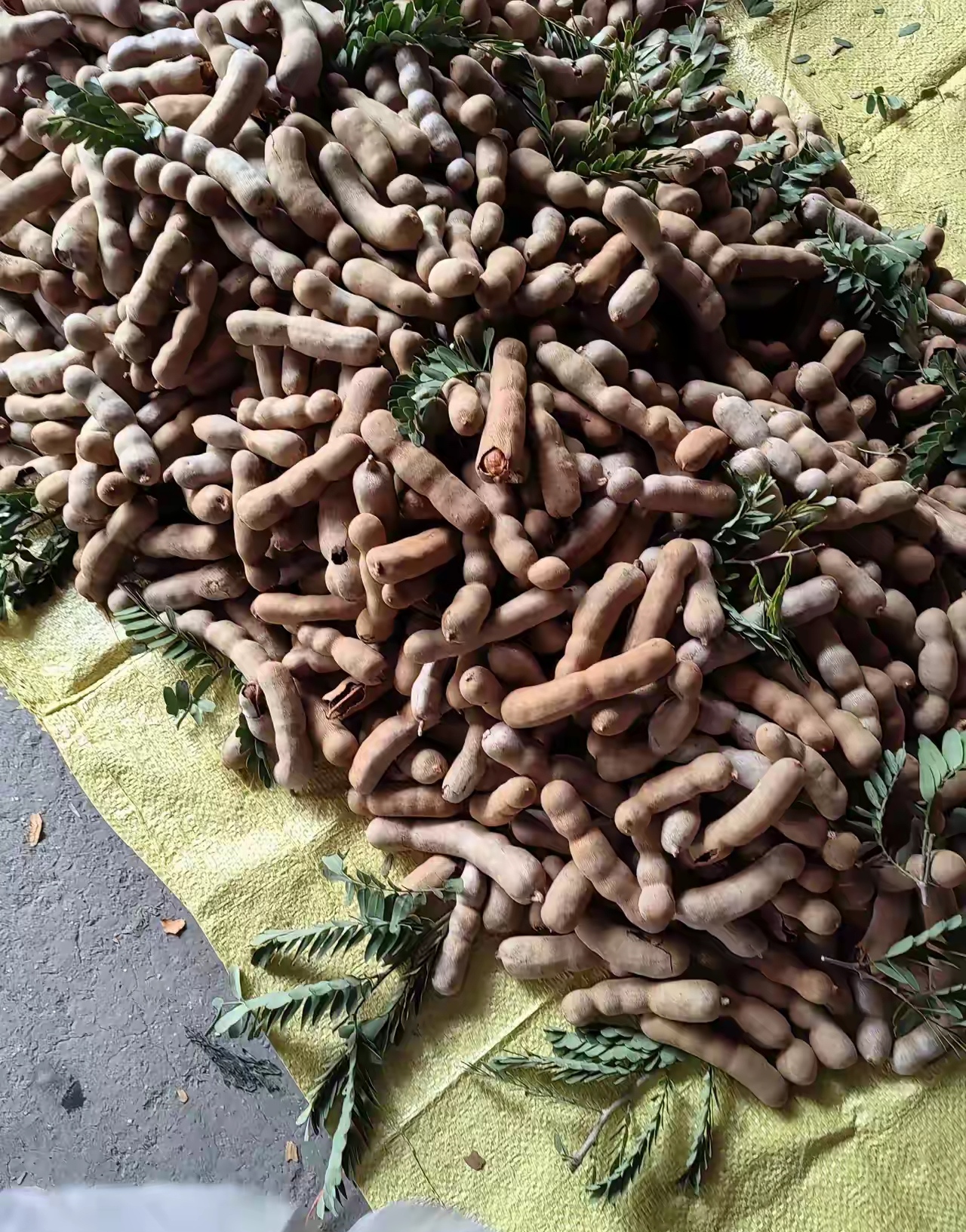 凑近一看不是豆角,我没忍住尝了尝,酸酸甜甜超好吃