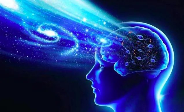 智商从大脑结构上讲,发达程度取决于前额叶皮质,人类的进化就是前