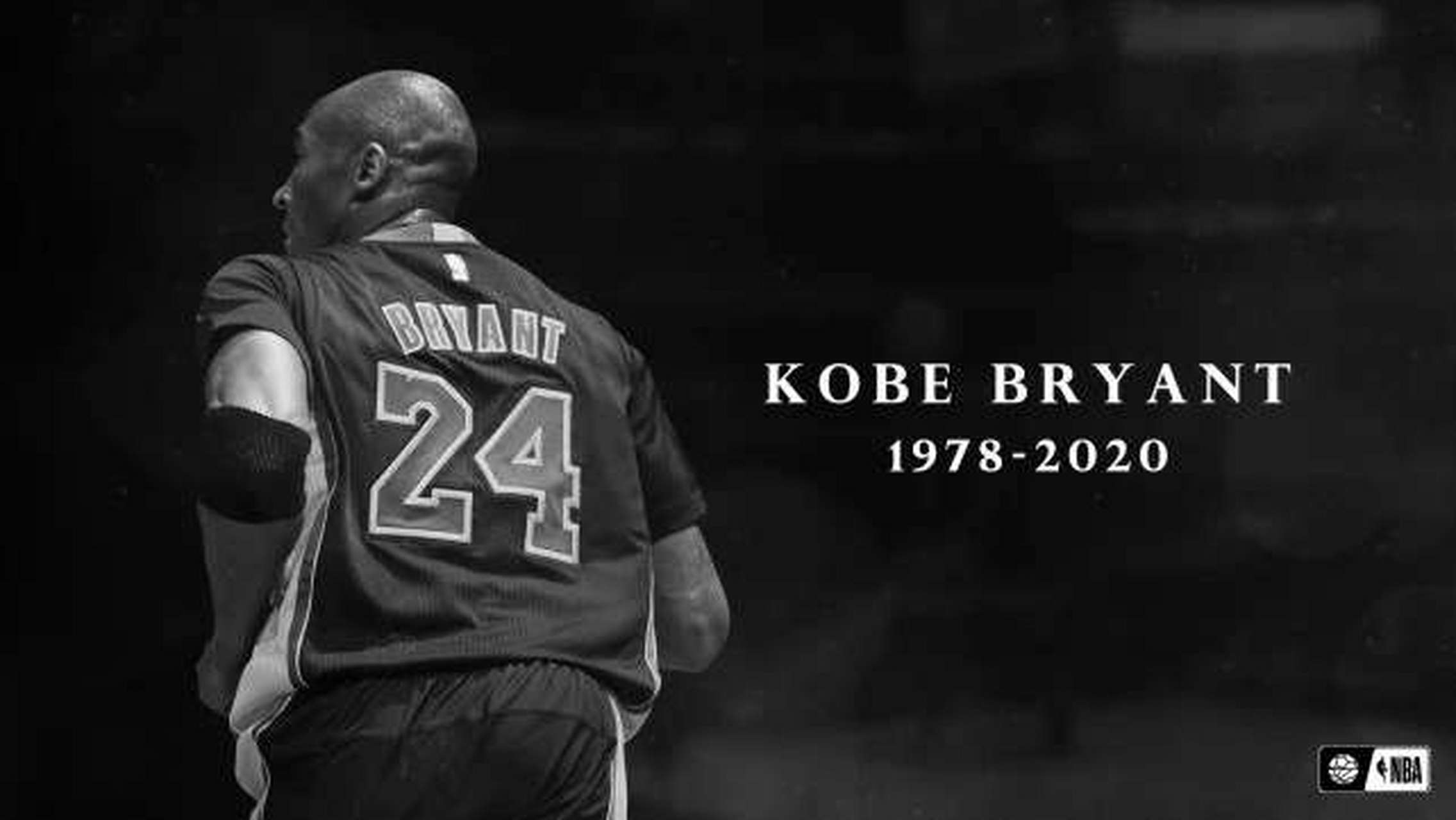 可能是大卫斯特恩用状元签签走了你,2020年状元身份.