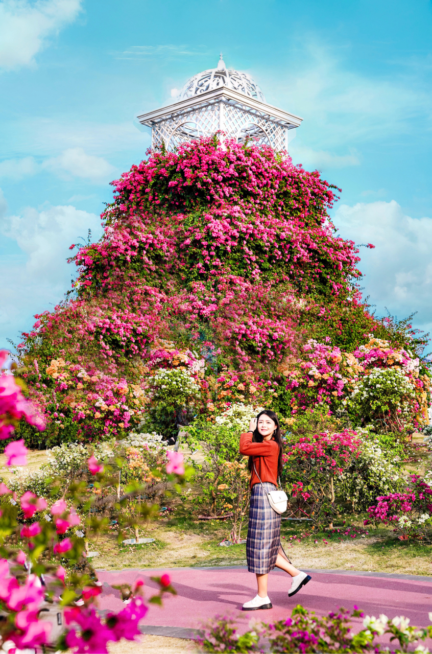 南宁青秀山三角梅太绝了!