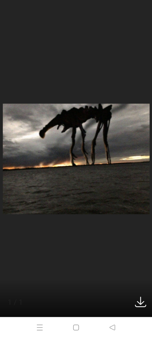 百万巴萨库vs流浪厄运