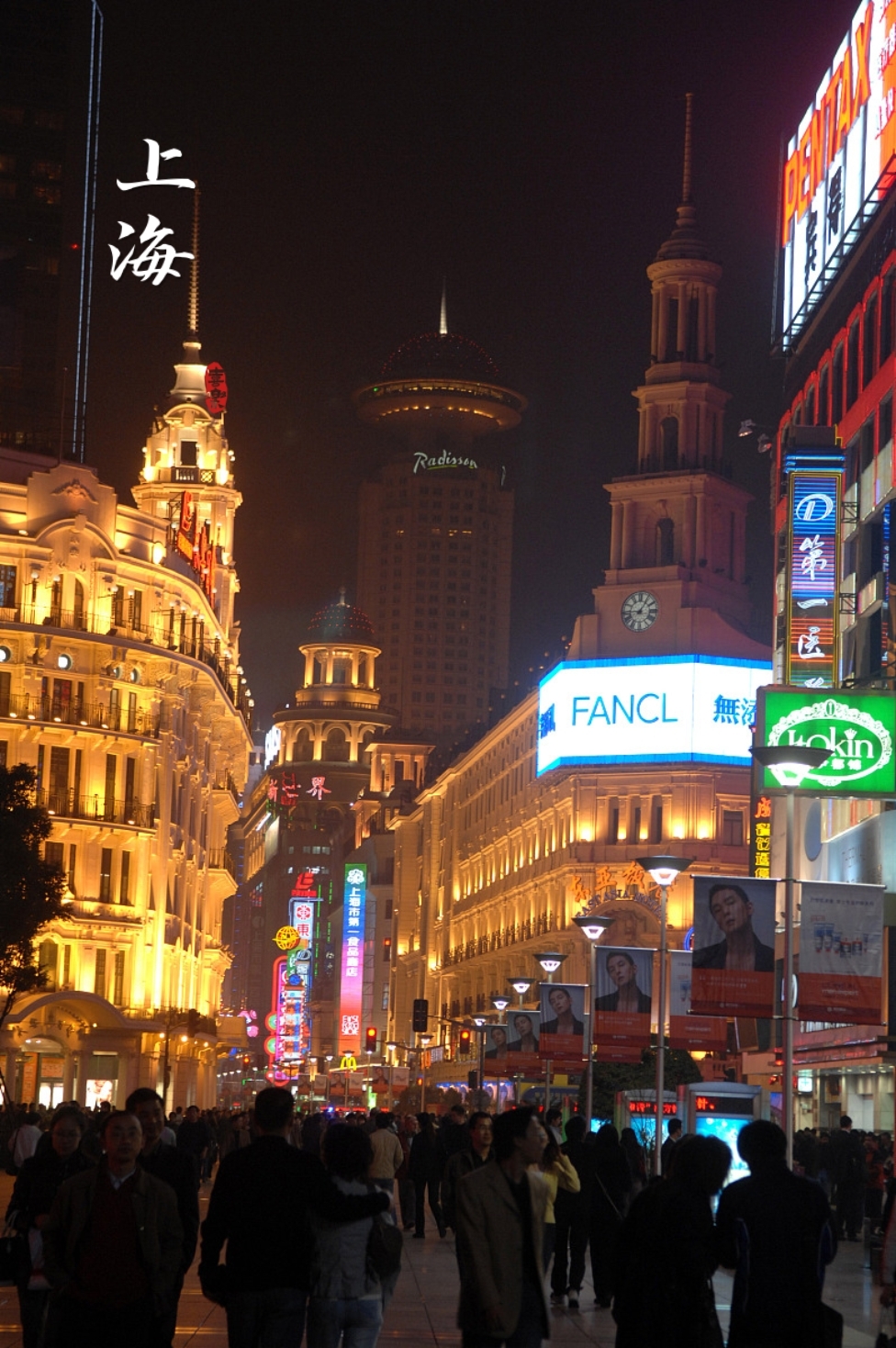 "漫步在繁华的上海街头,浦江两岸的灯火映照着我的身影.