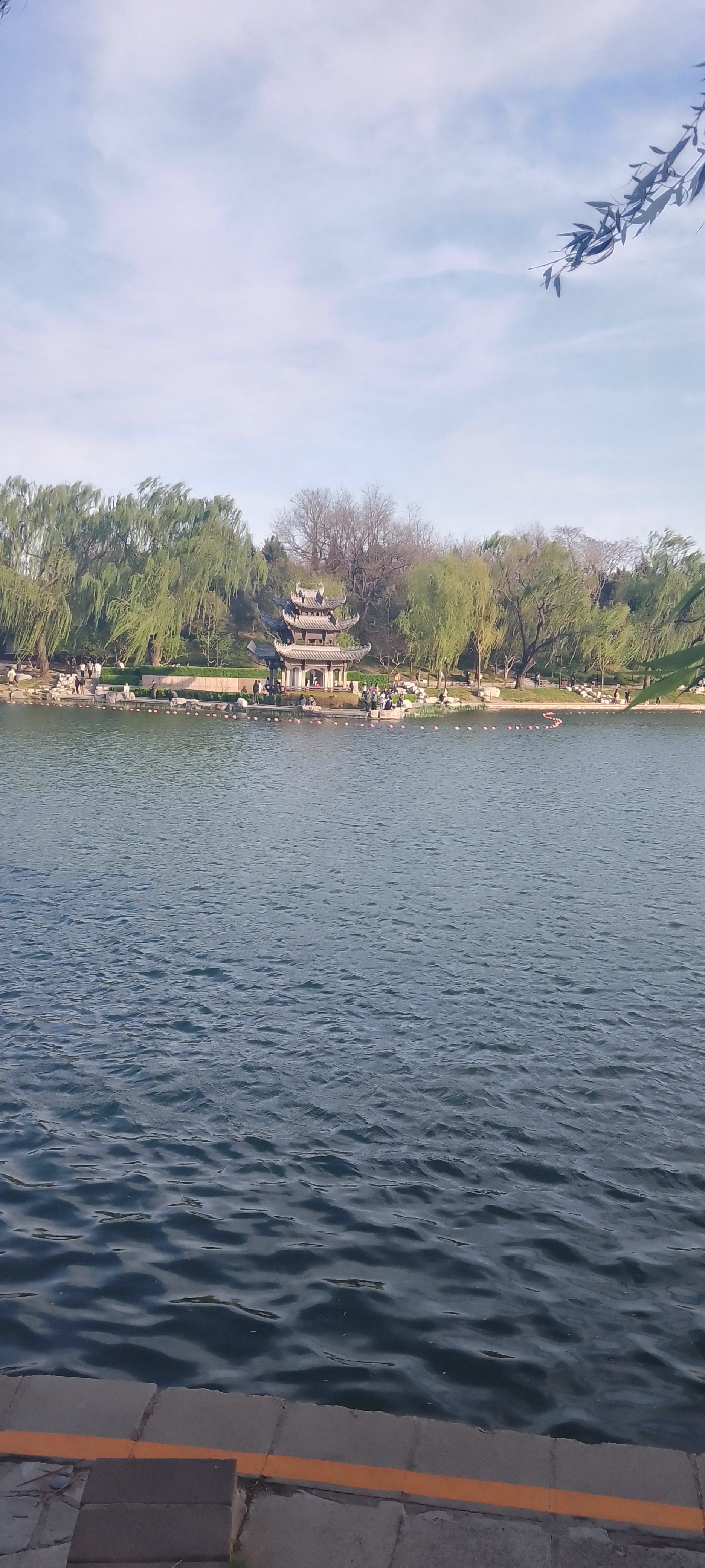 陶然亭公园海棠文化节