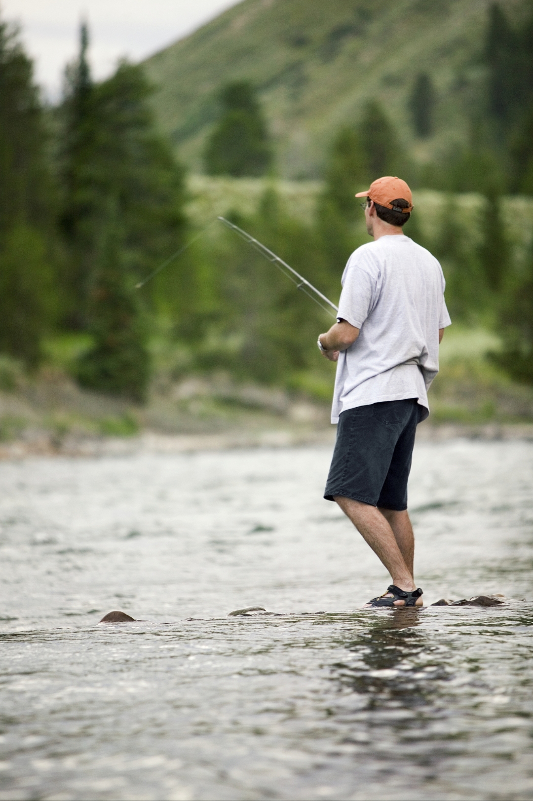 不愿与熟人接触,爱好寥寥,唯钓鱼能让我静坐在河边,一天就这么过去