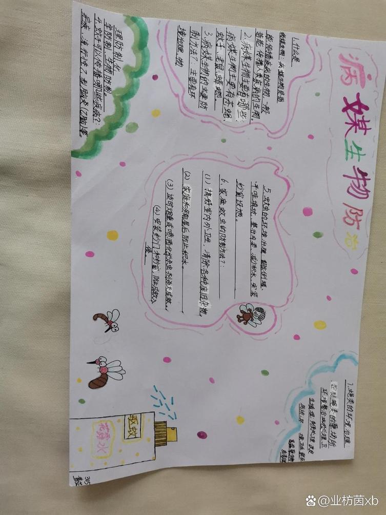 病媒生物防治手抄报