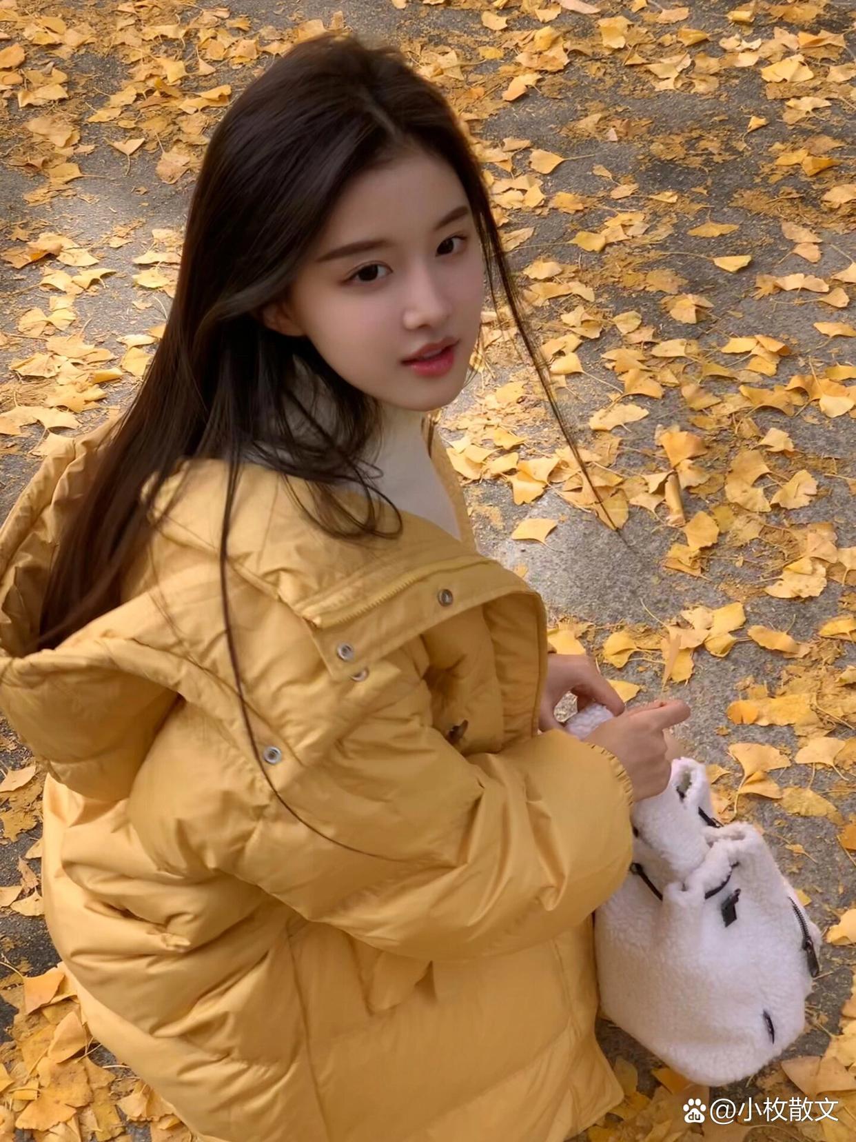 她,如同这片落叶般,静静地在时光中漫步,手中那只小猫是她的小小世界