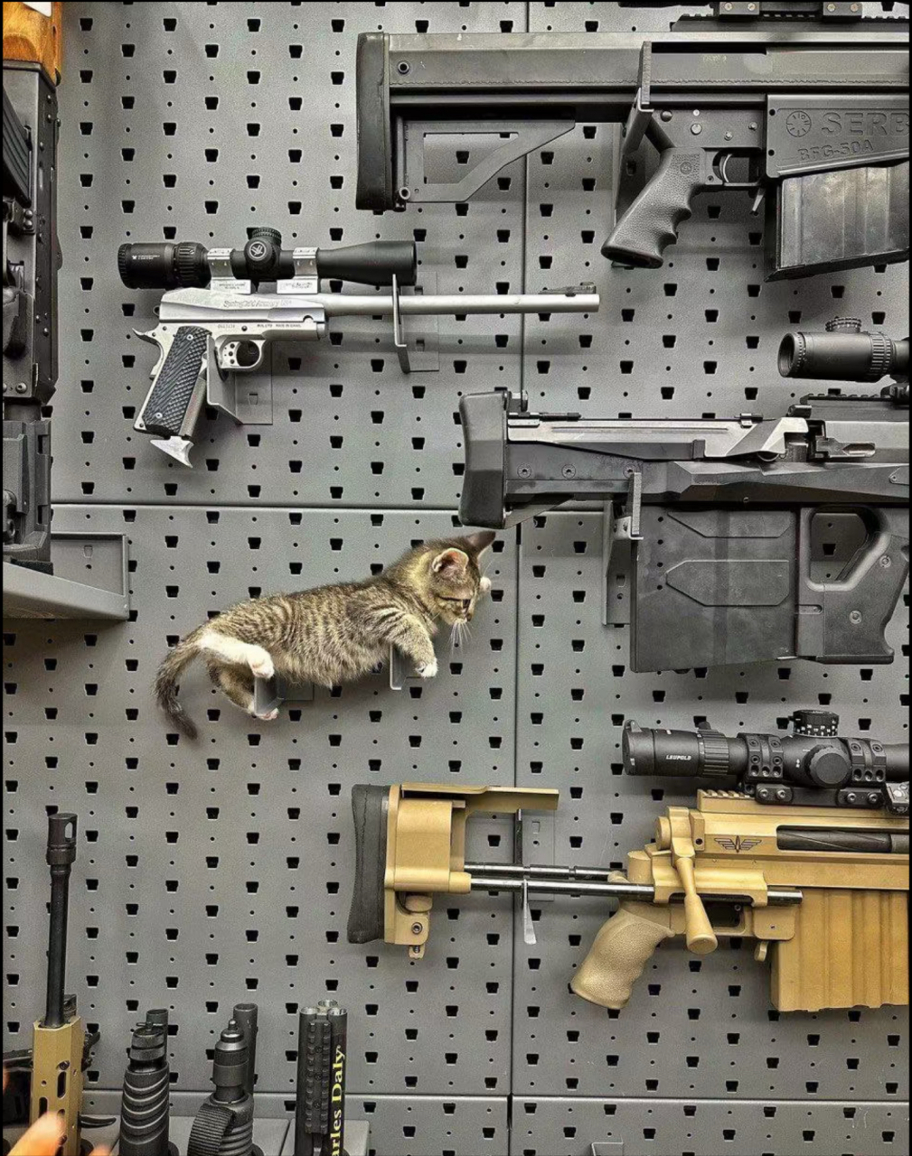 重型武器[二哈]#搞笑# #来条神评# #我要上热门