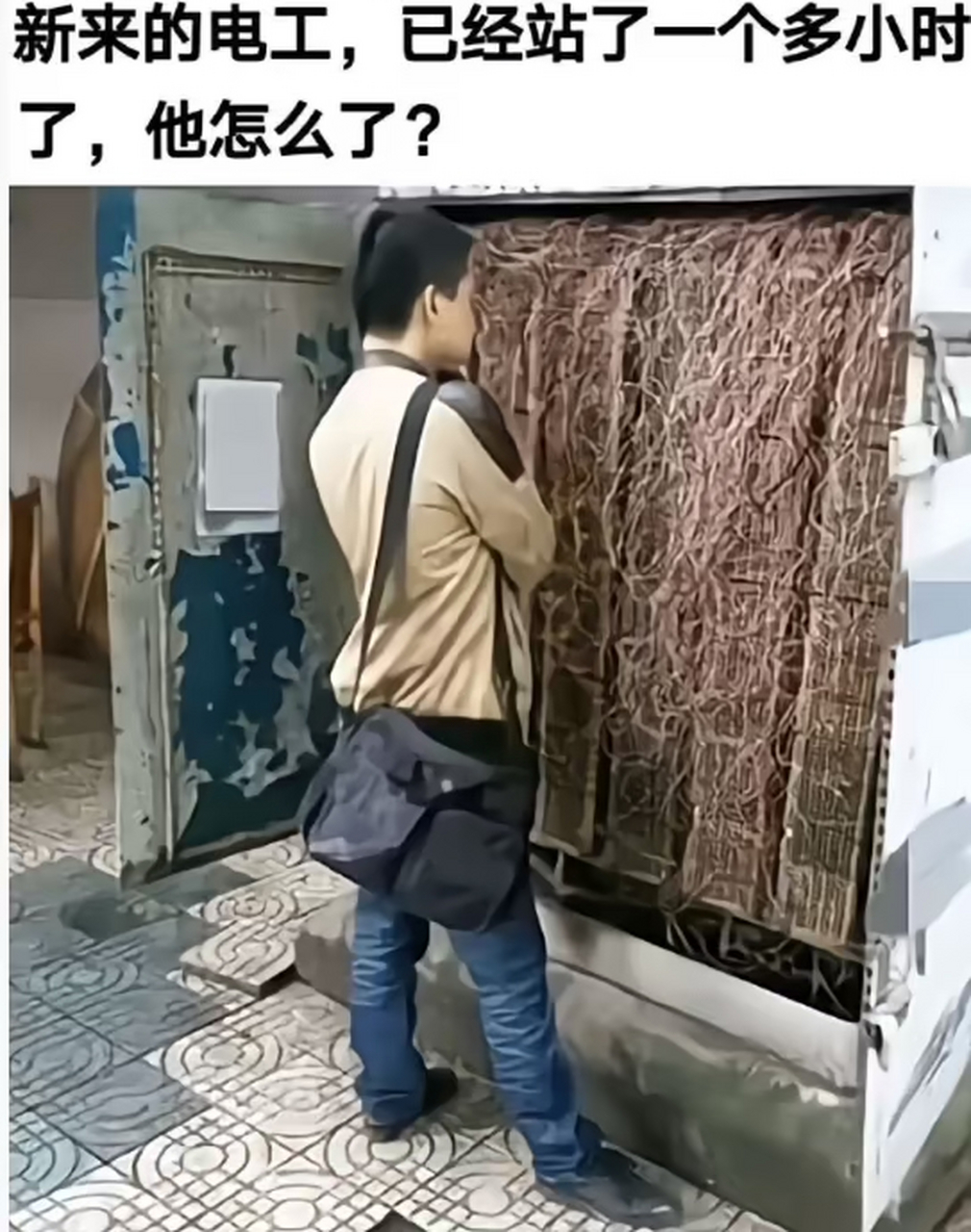 老电工直接给它剪了[左捂脸]#搞笑# #我要上热门