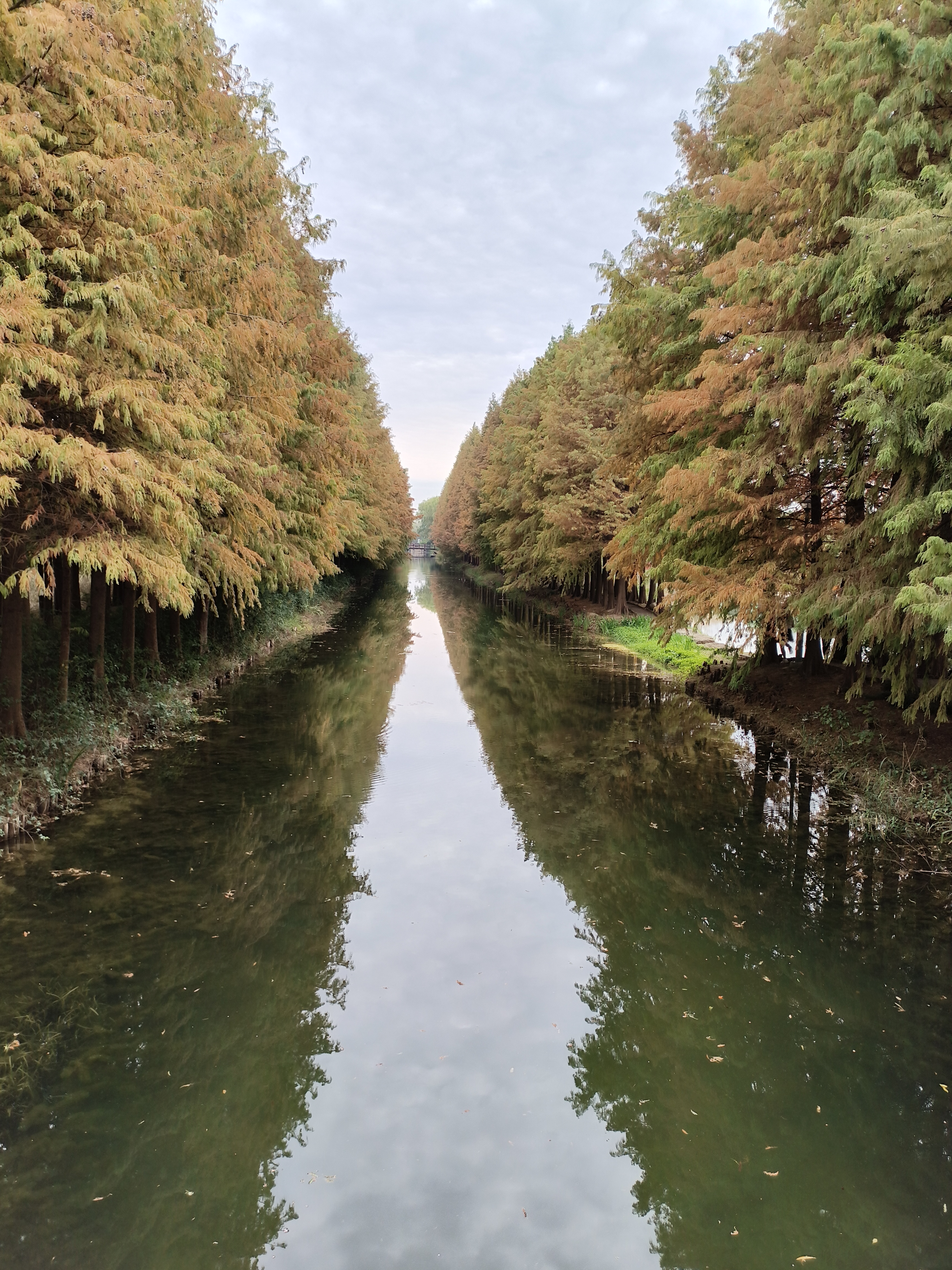 虎丘湿地公园电话图片