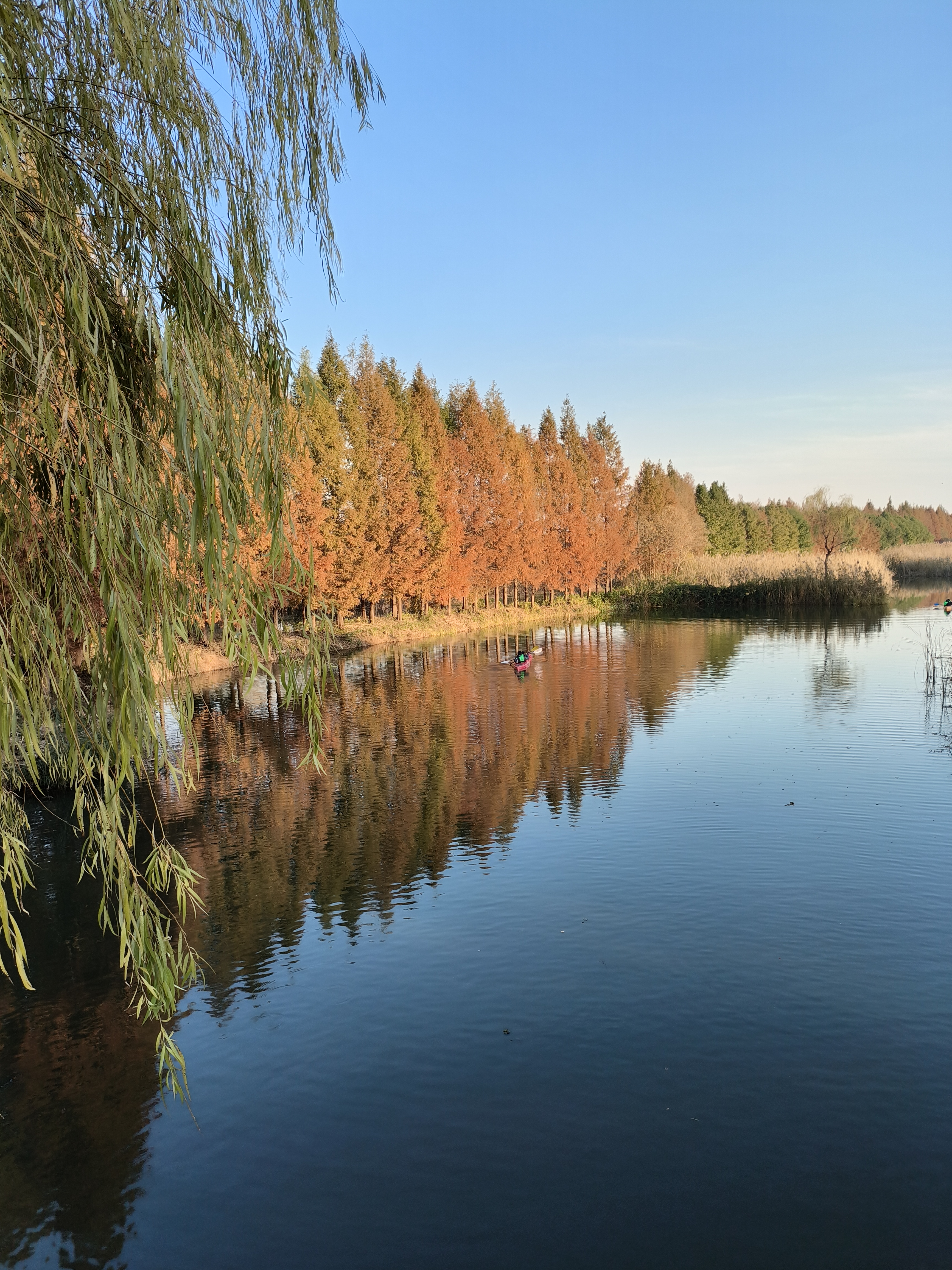 苏州虎丘湿地公园图片