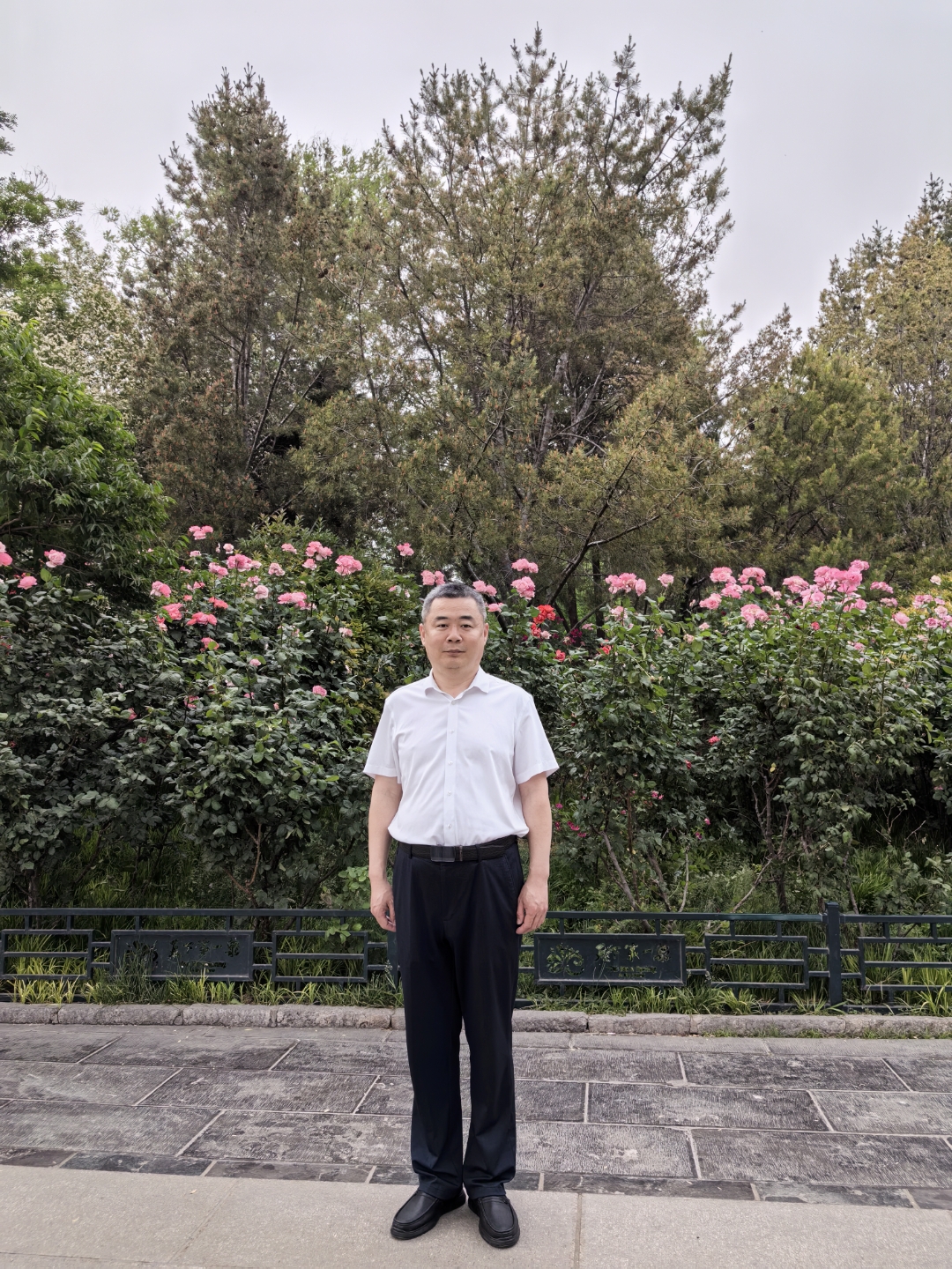 面对世事万物,人情冷暖,是是非非