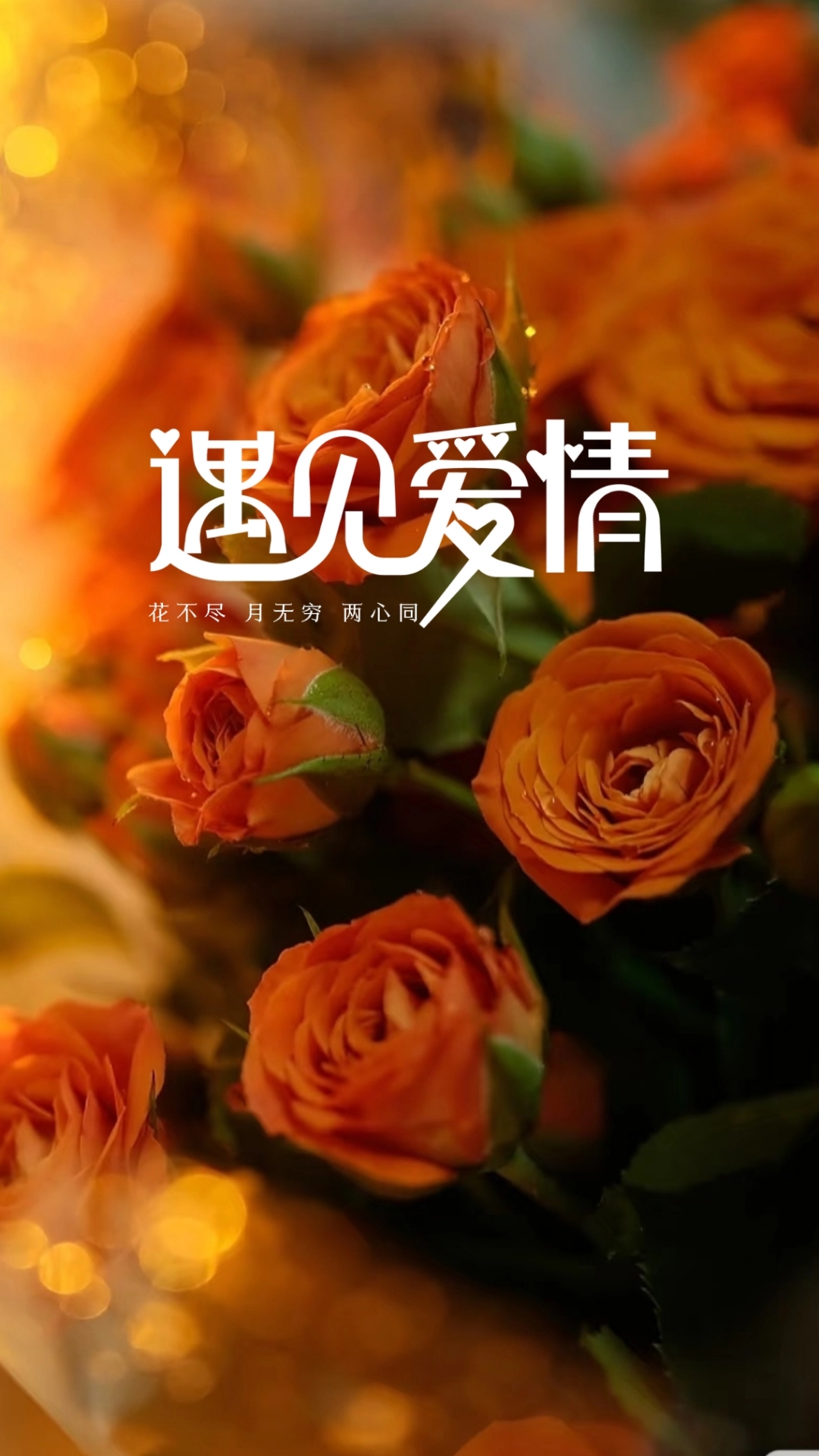 不渝图片带字珍惜有情人的图片情人节图片带字情人节海报文案爱情讯息