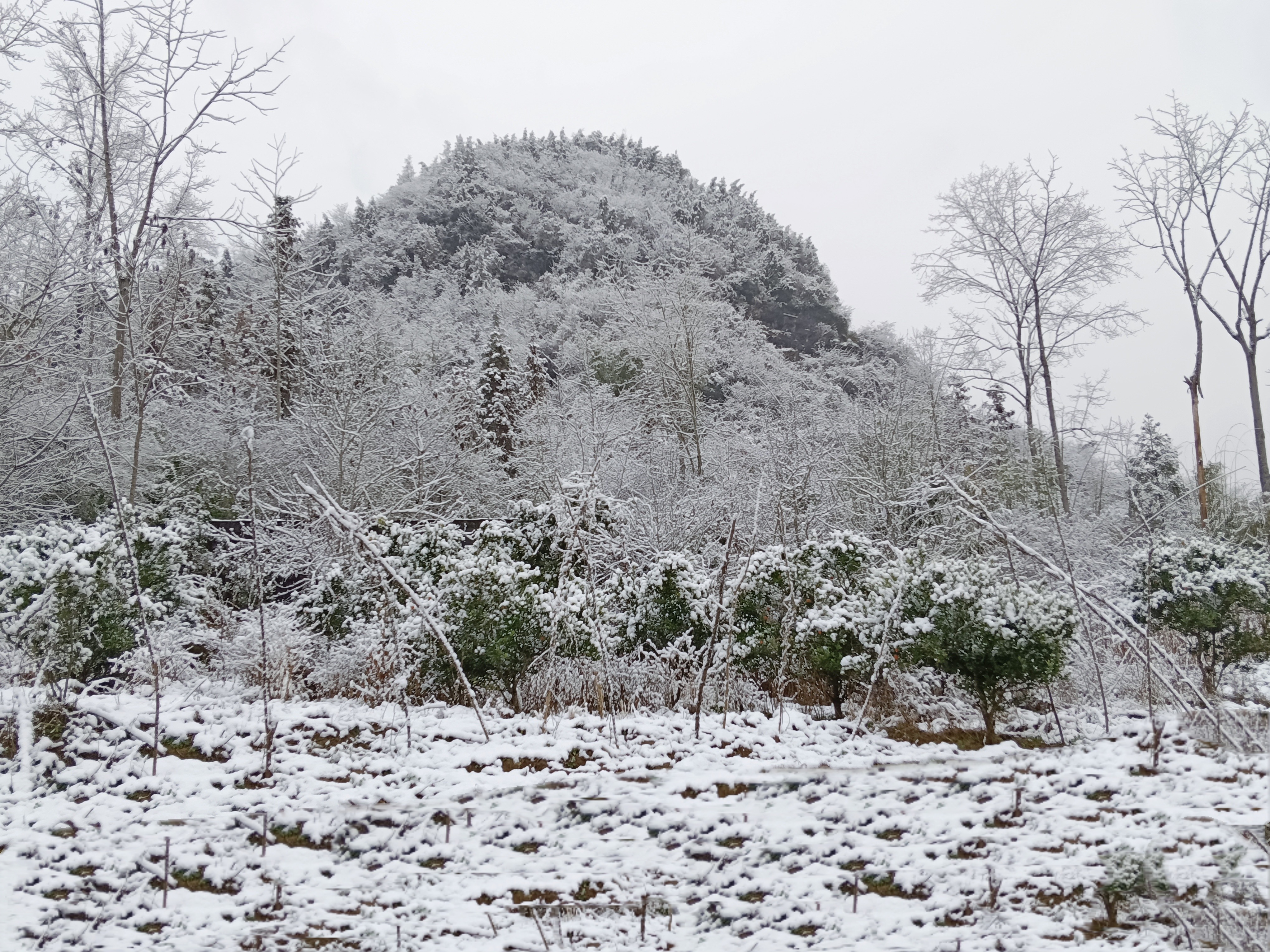 福州雪景图片