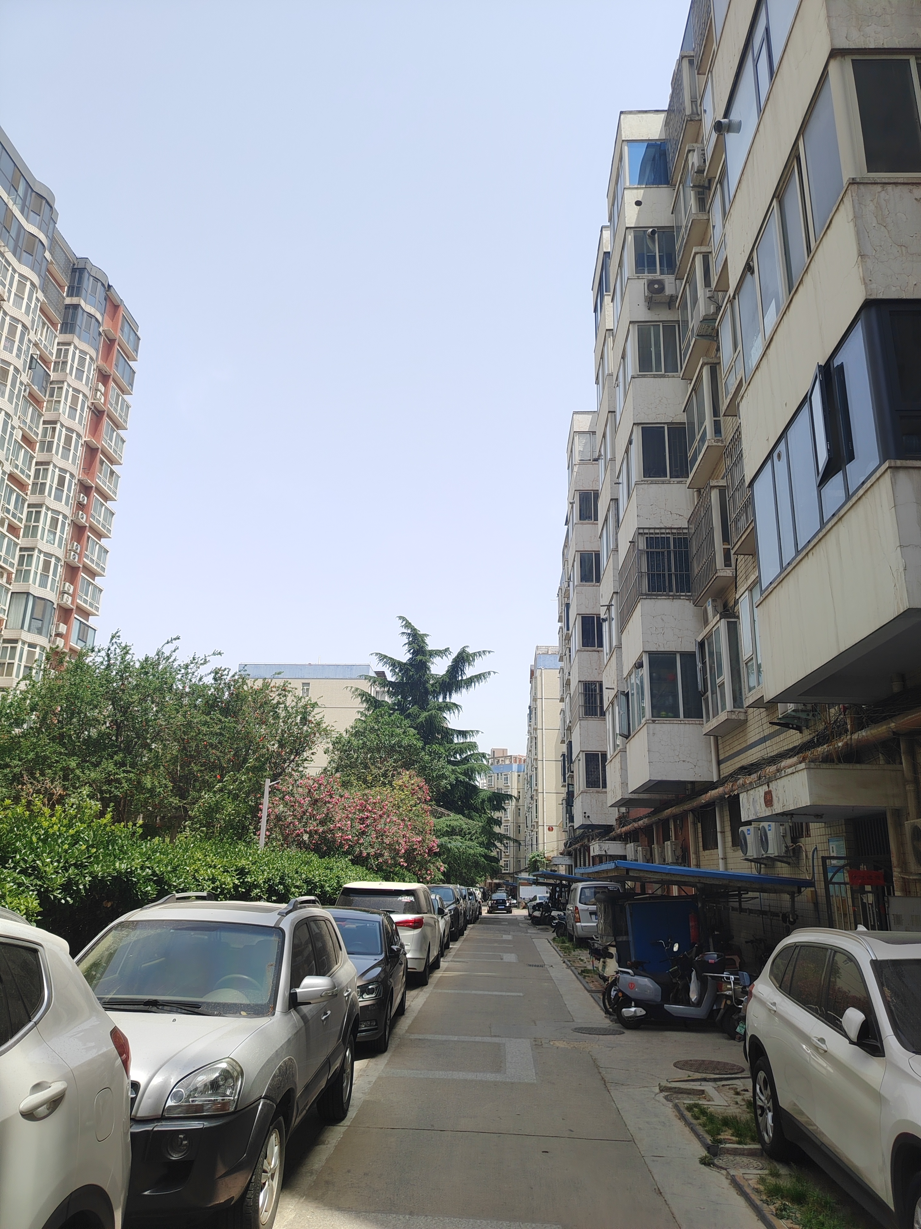 唉真是健忘 饭焖好了 菜也炒好了 下楼倒个垃圾