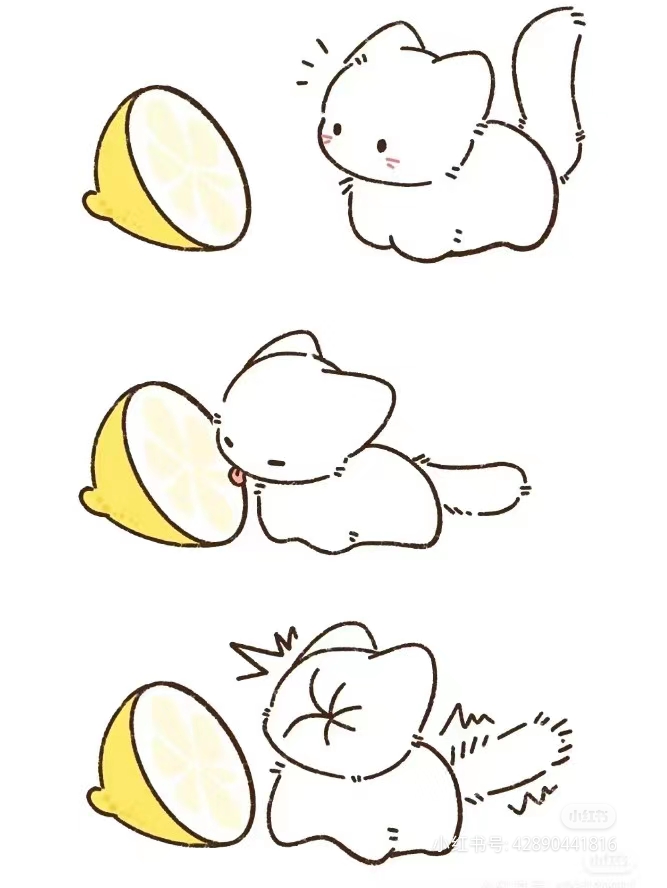 尾巴尽力了,小猫吃柠檬