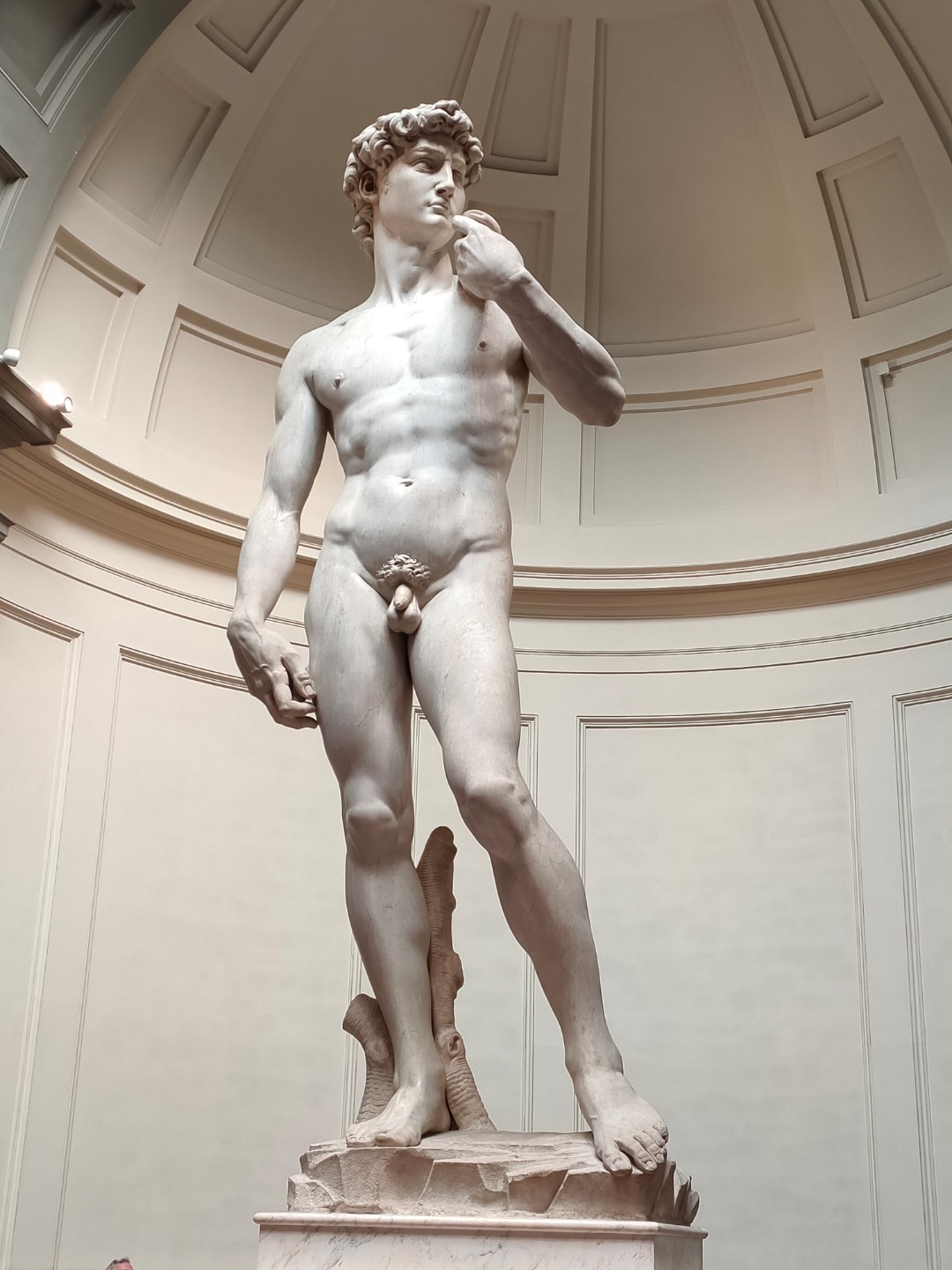 意大利佛罗伦萨美术馆,大卫雕塑,艺术大师米开朗基罗于1501年到1504年