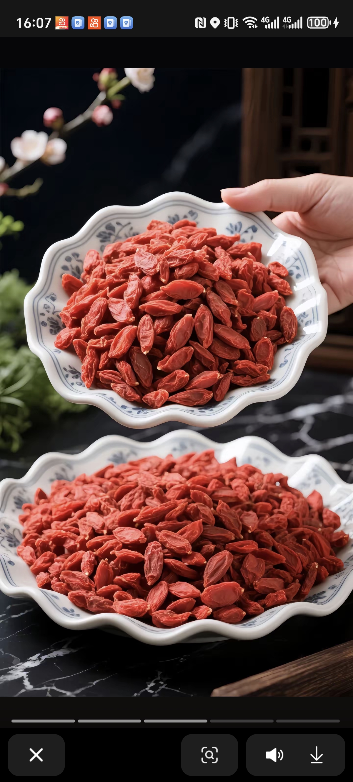 中宁枸杞,堪称枸杞中的"佼佼者" 颗颗饱满,色泽鲜红,每一颗都像是精心