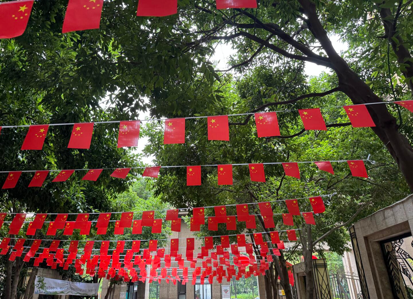 过年过节,仪式感拉满 小区里面,物业已经布置好场景迎接国庆 祝你们