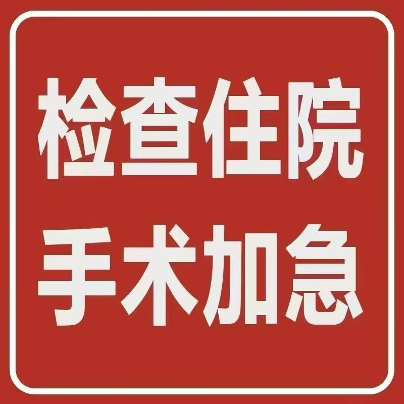 关于博爱医院住院办理陪诊挂号周末陪同看病检查，不影响工作生活的信息