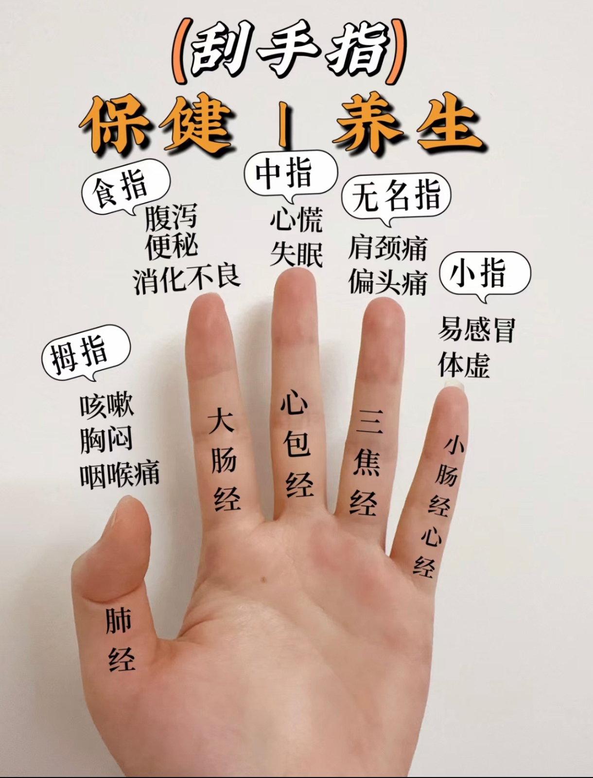 做好手部调理.有益全身健康.人体手部经络分为三阴三阳经