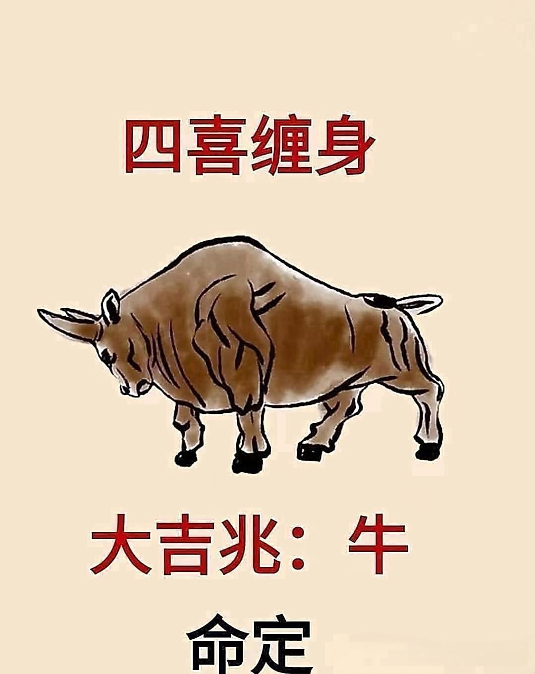 王洪年生肖牛2025运势(2024年属牛运势及运程)