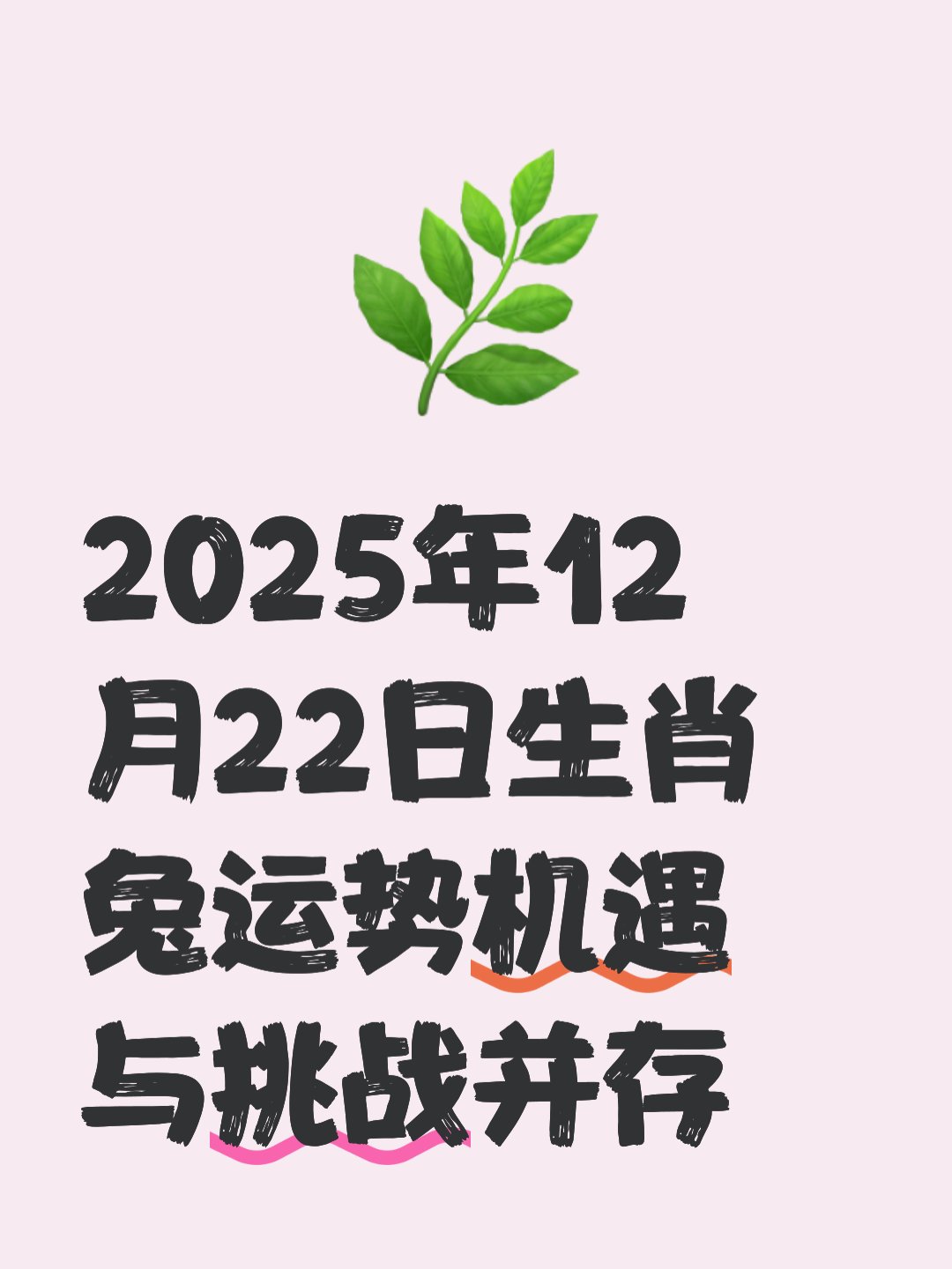 生肖兔人2025流年运势(属兔2025运势)