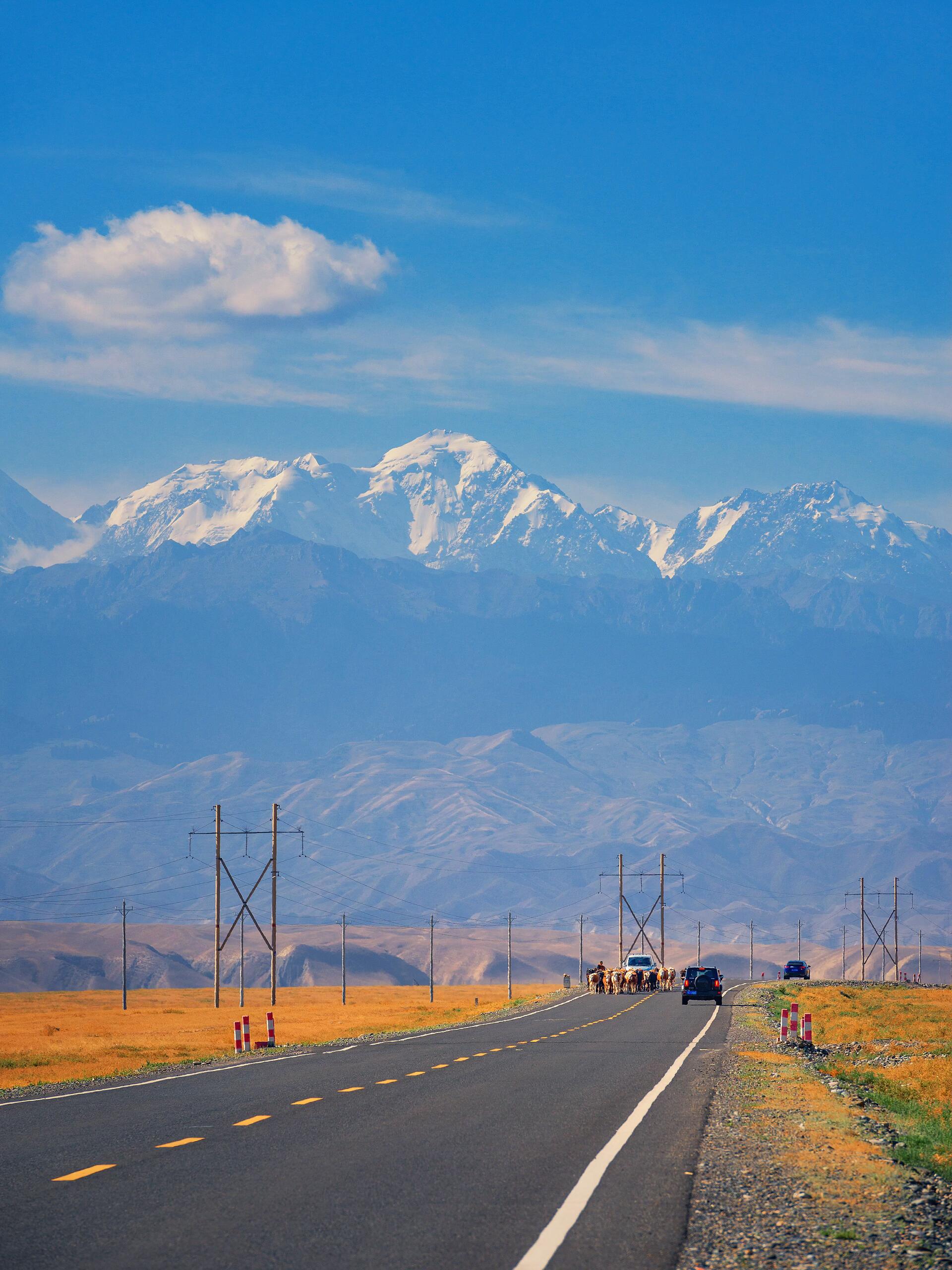 人少景美,景色丰富,一天时间能到,两天也能玩好,s101丹霞公路的秋色