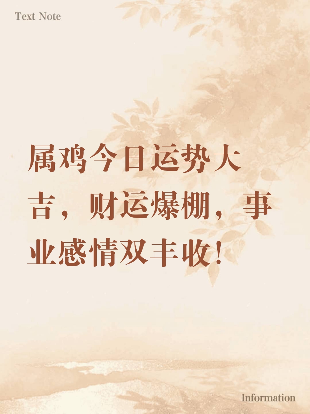 生肖属鸡的人运势运程(属鸡的人运势及运程)