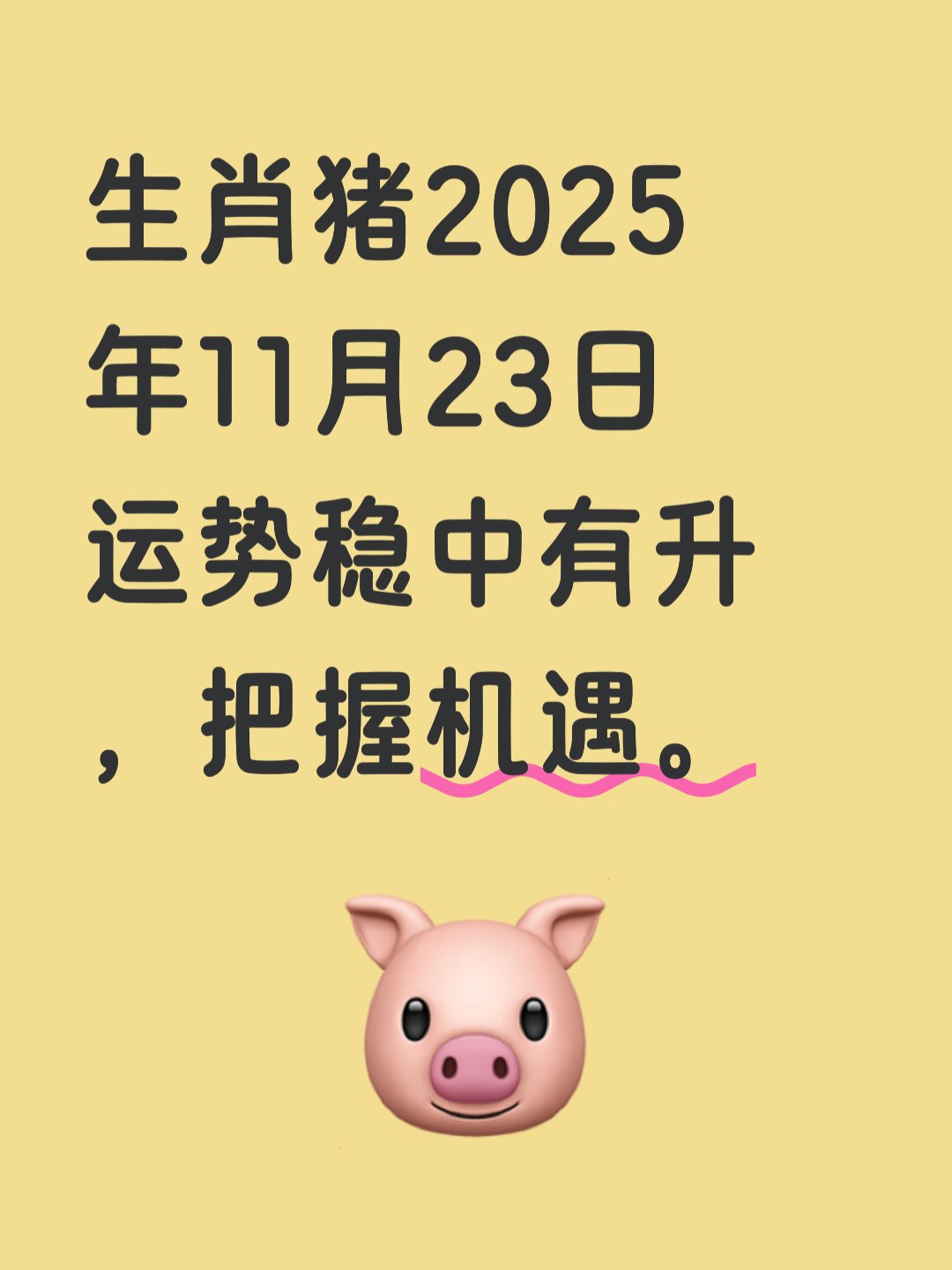 猪生肖2025年2月运势(2025属猪人的全年每月运势)