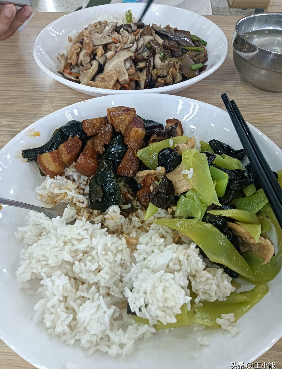 我家儿子学校食堂,饭菜太便宜了!
