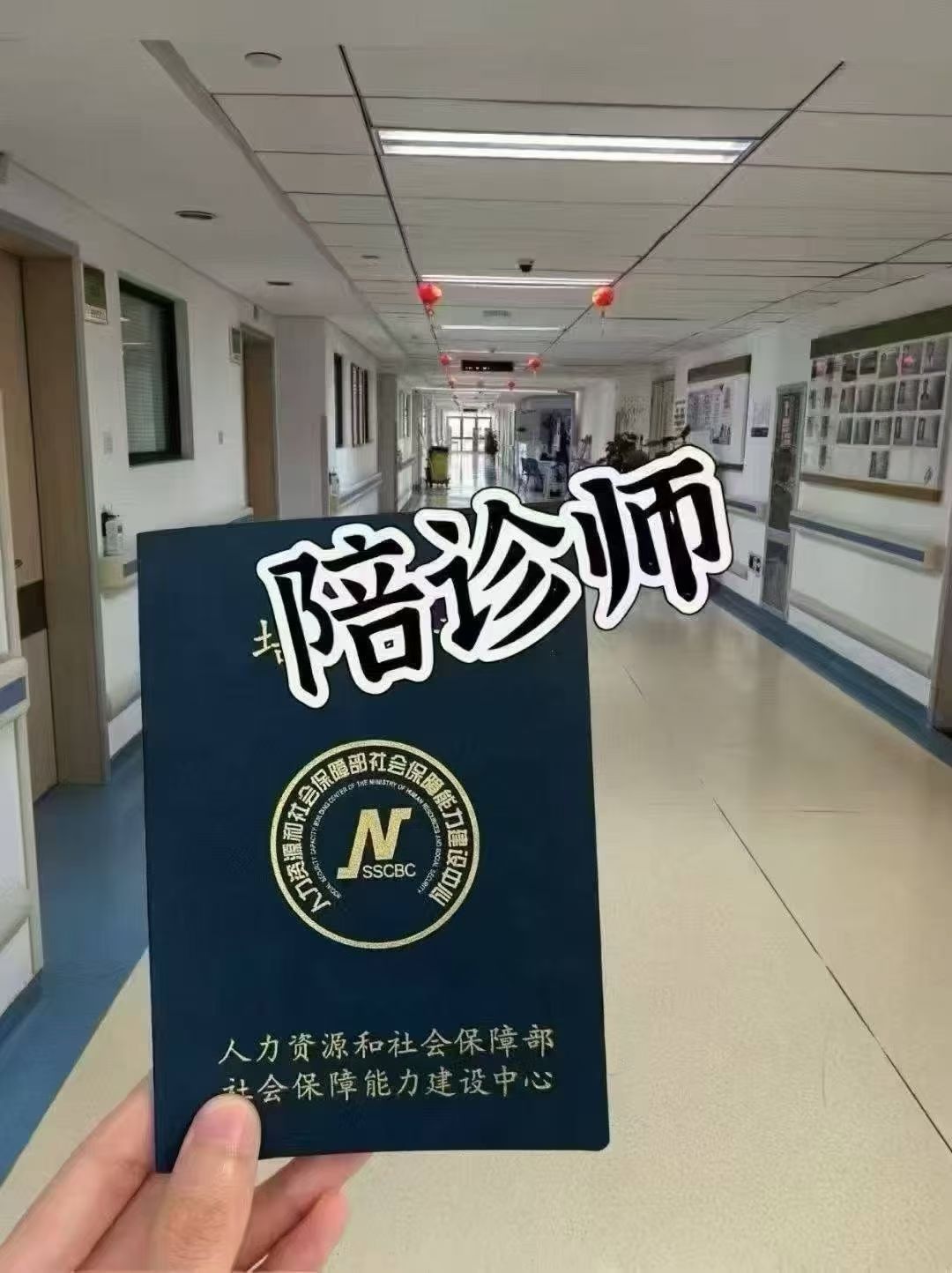 北京大学人民医院代问诊加陪诊挂号重症患者就医，全程细致陪护的简单介绍