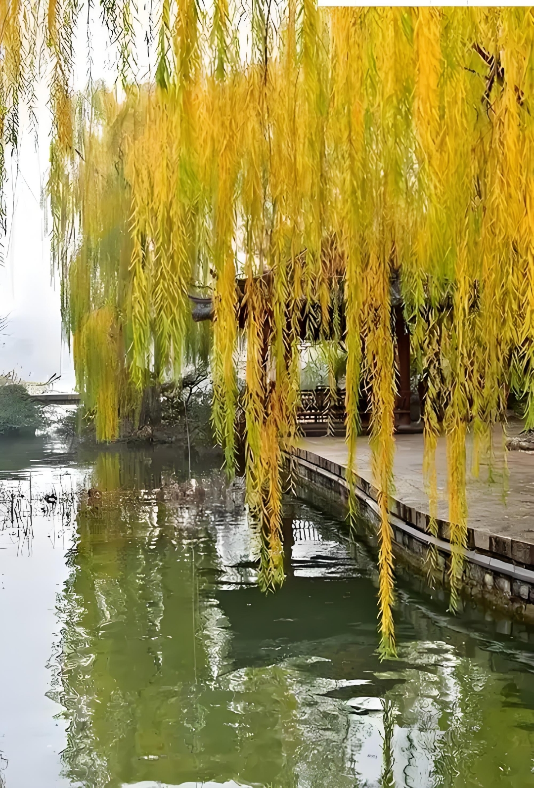 林中孤寂有谁伴,心里凄凉独自知. 白露飞来烟袅袅,夕阳怀念影迟迟