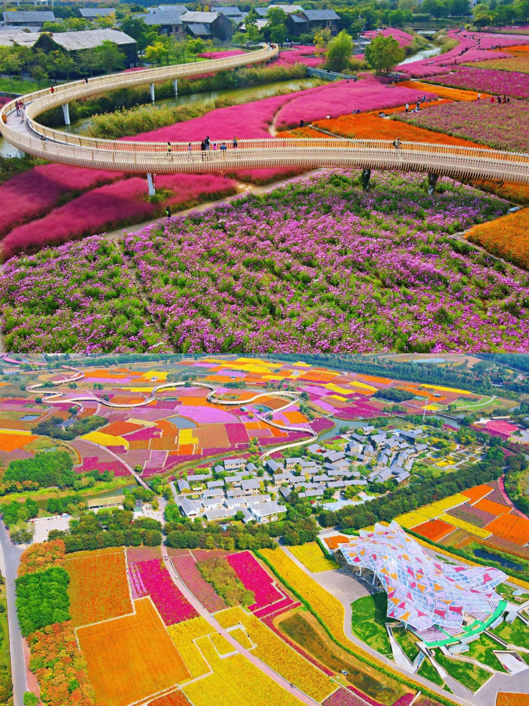 三台山的衲田花海根本不是"一次性美景",从春到秋花期不断,不同季节有