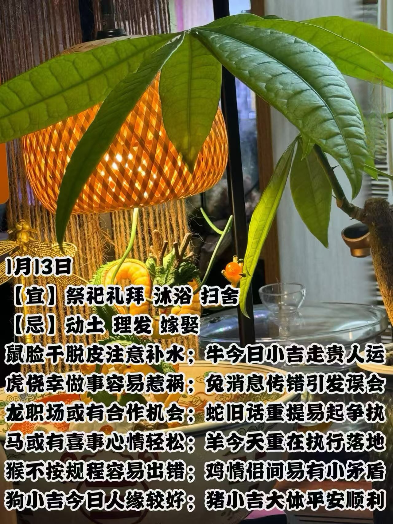 十二生肖怎么调整运势的(十二生肖改变命运方法)