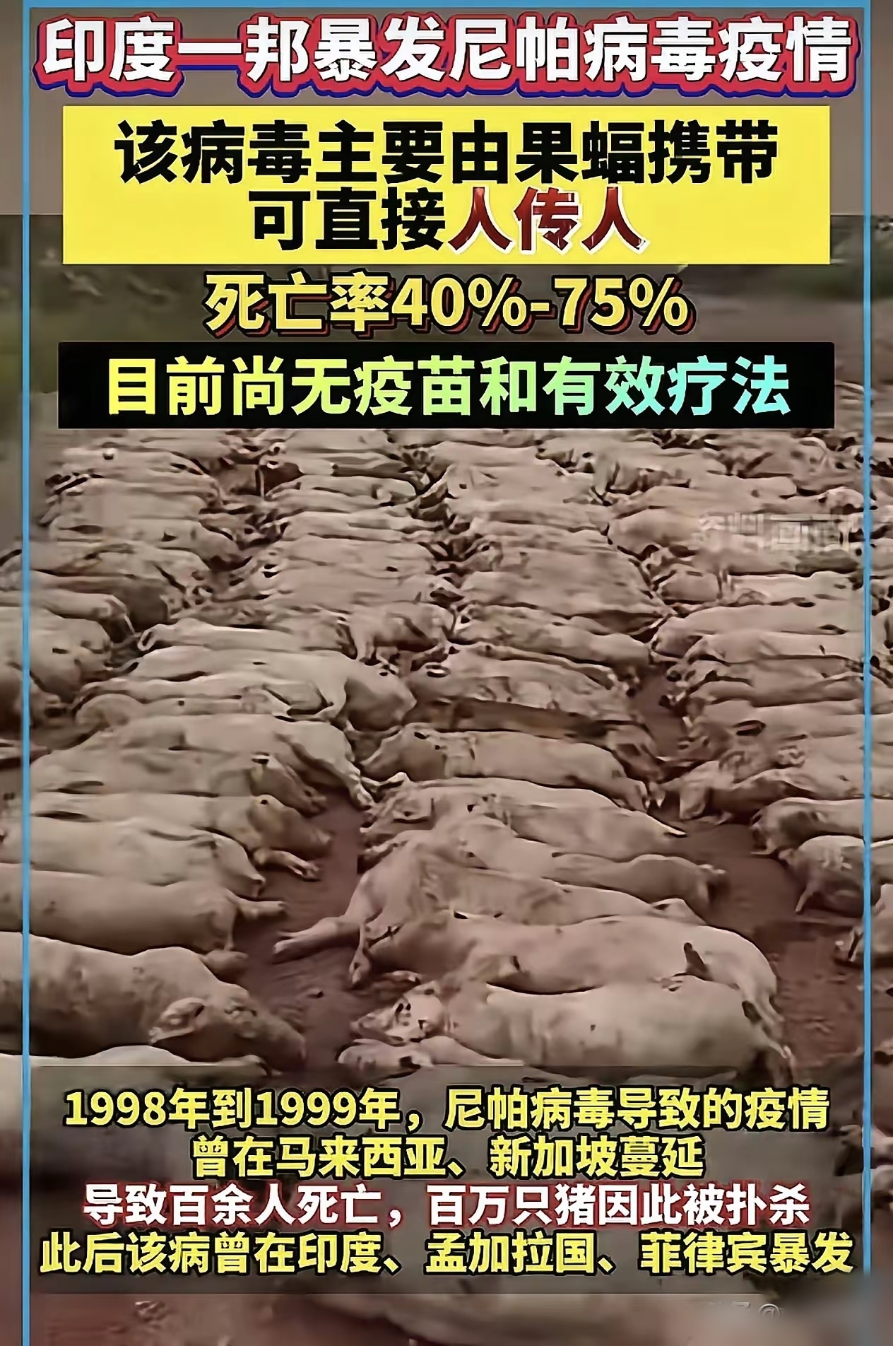  疫情爆发那天是几月几号(疫情爆发那天开始的)