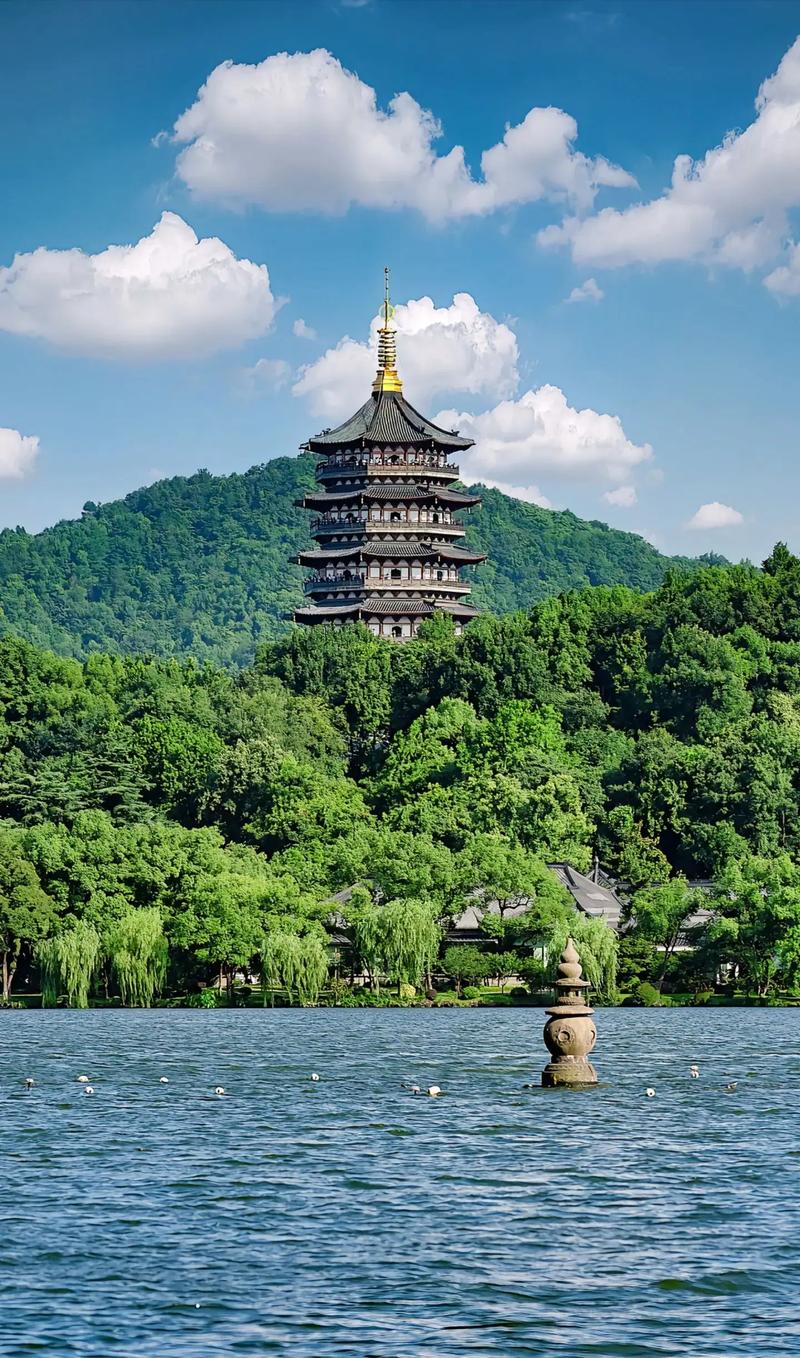 2026年浙江省选调学校范围出炉,3所985落选,3所研究