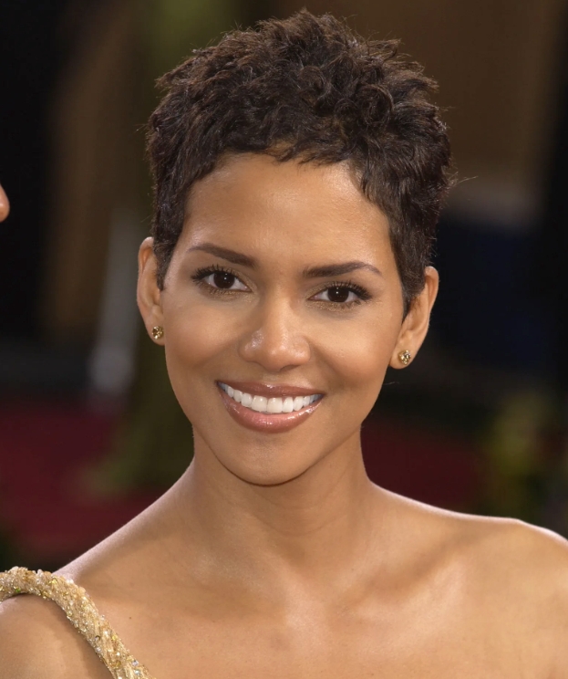 黑珍珠哈莉·贝瑞,奥斯卡史上唯一的黑人影后与好莱坞传奇,五官深邃