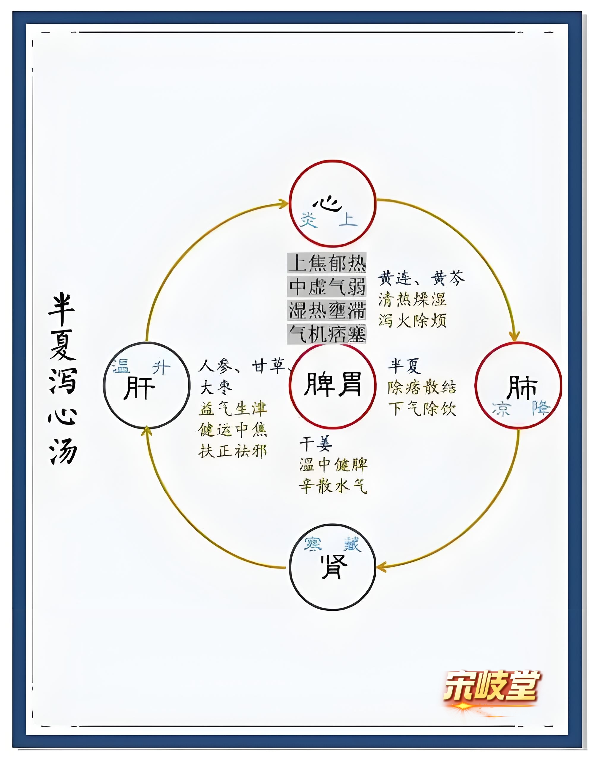 医圣张仲景的三个泻心汤,用对了覆杯即愈,用错了还会逆反