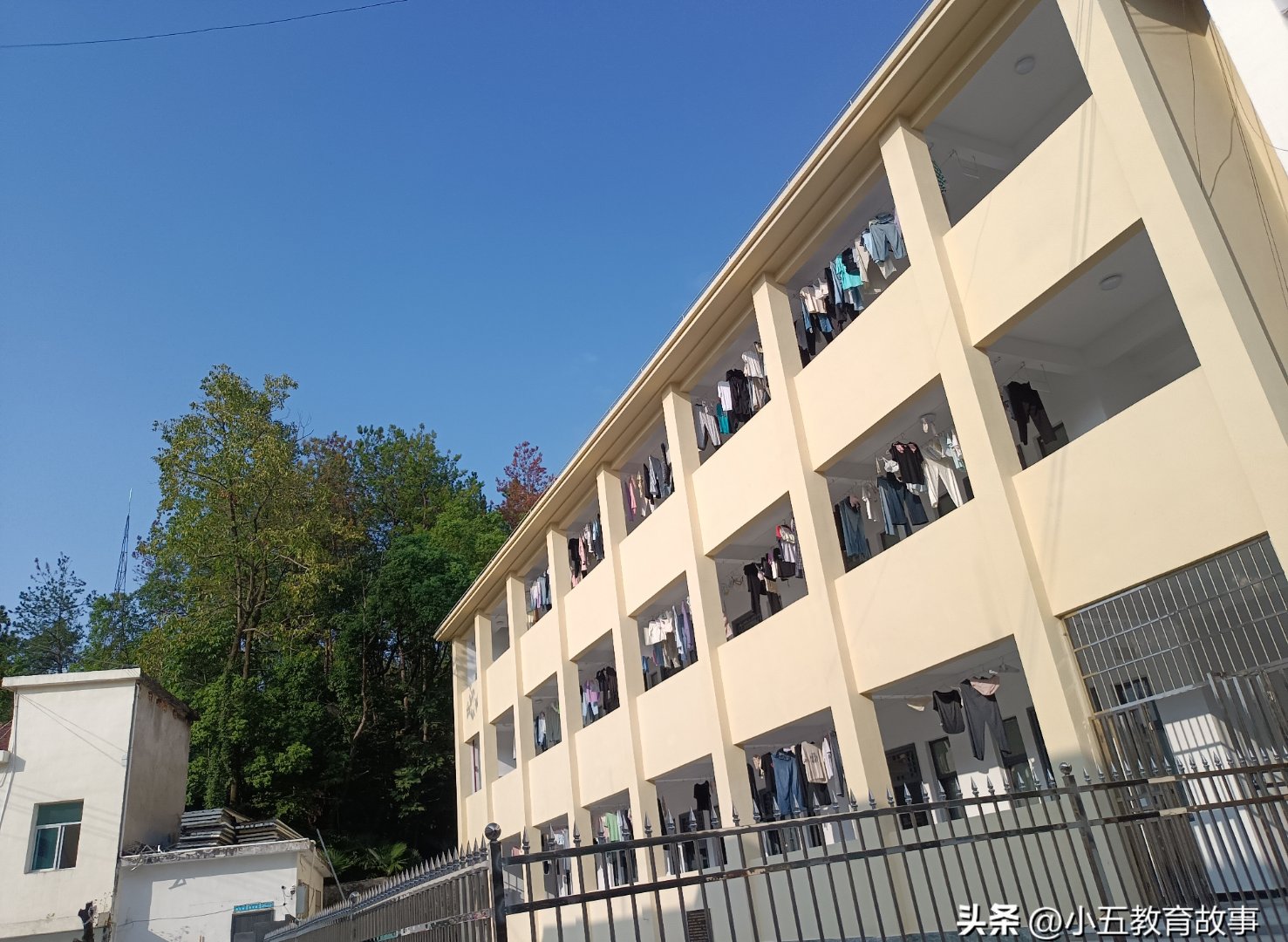 哈哈,感觉像是突然从管家式教育变成了放养模式,我都有点不适应了