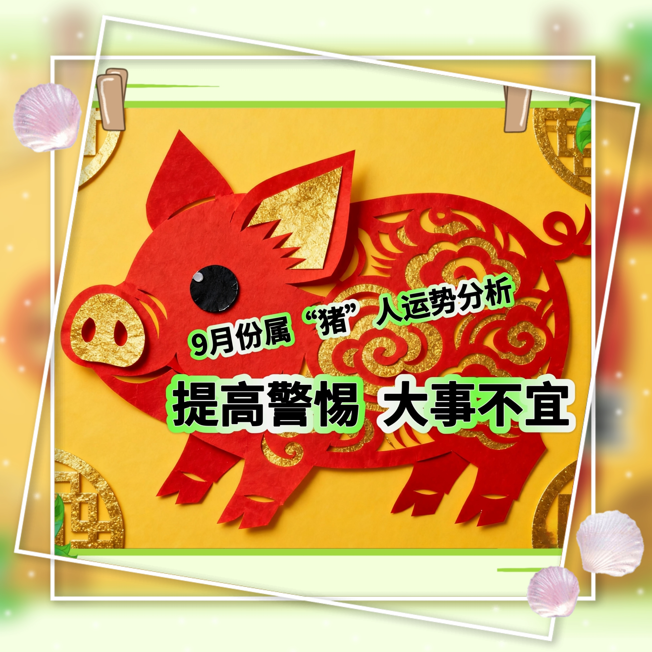 农历十月二十四生肖猪运势(十月二十四生的人好吗)