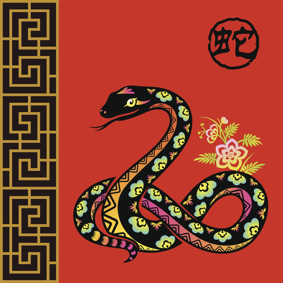 虎年生肖蛇运势大全(属蛇人虎年运势2021运势详解)