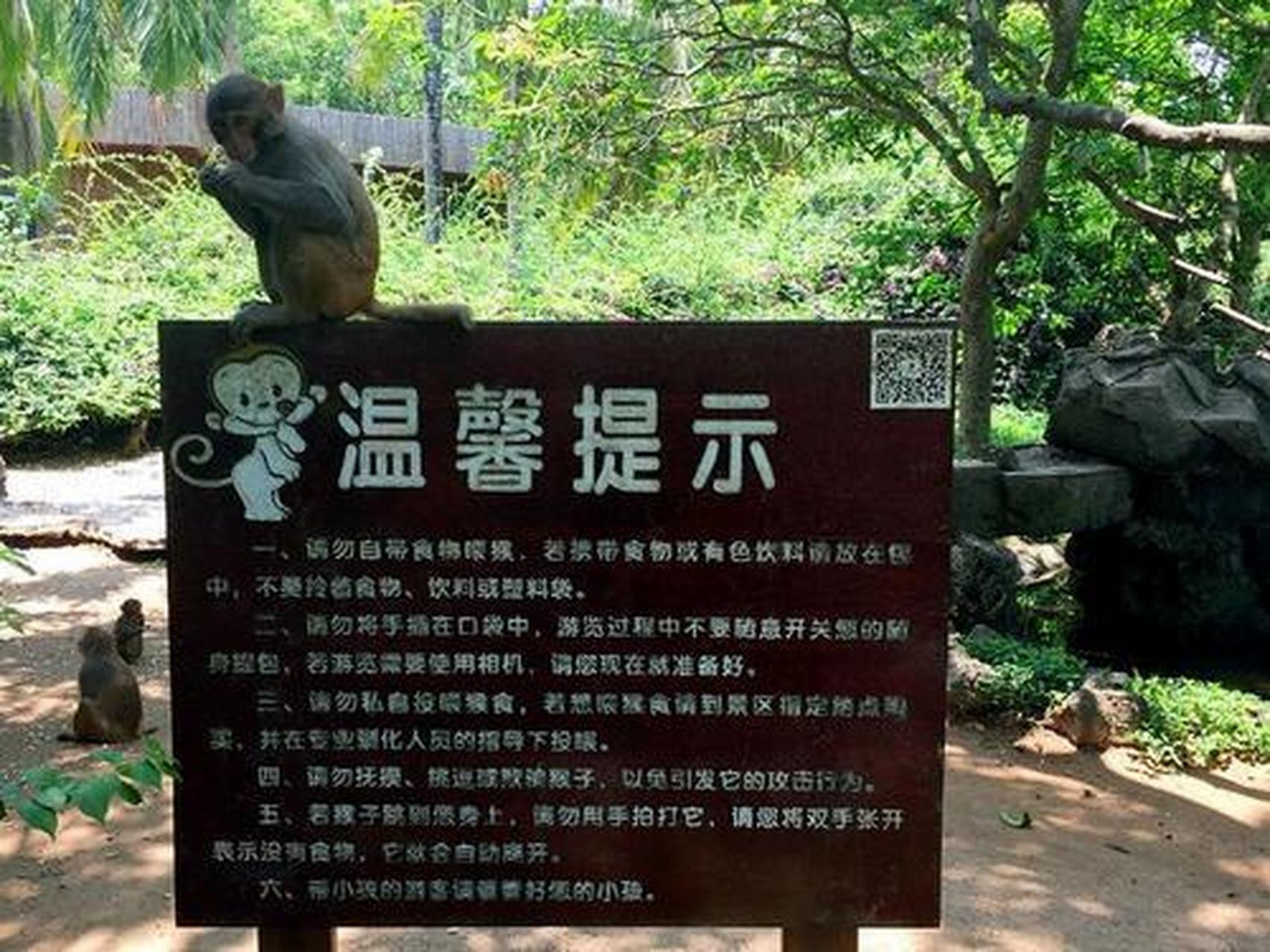 吾儿继续艾特 文明观猴,请勿投食@吾儿继续艾特