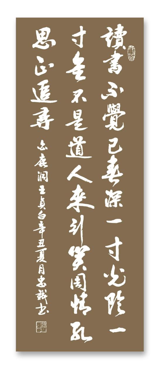 學書法写古詩 《白鹿洞二首其一》 【唐】王貞白  讀書不覺已春深