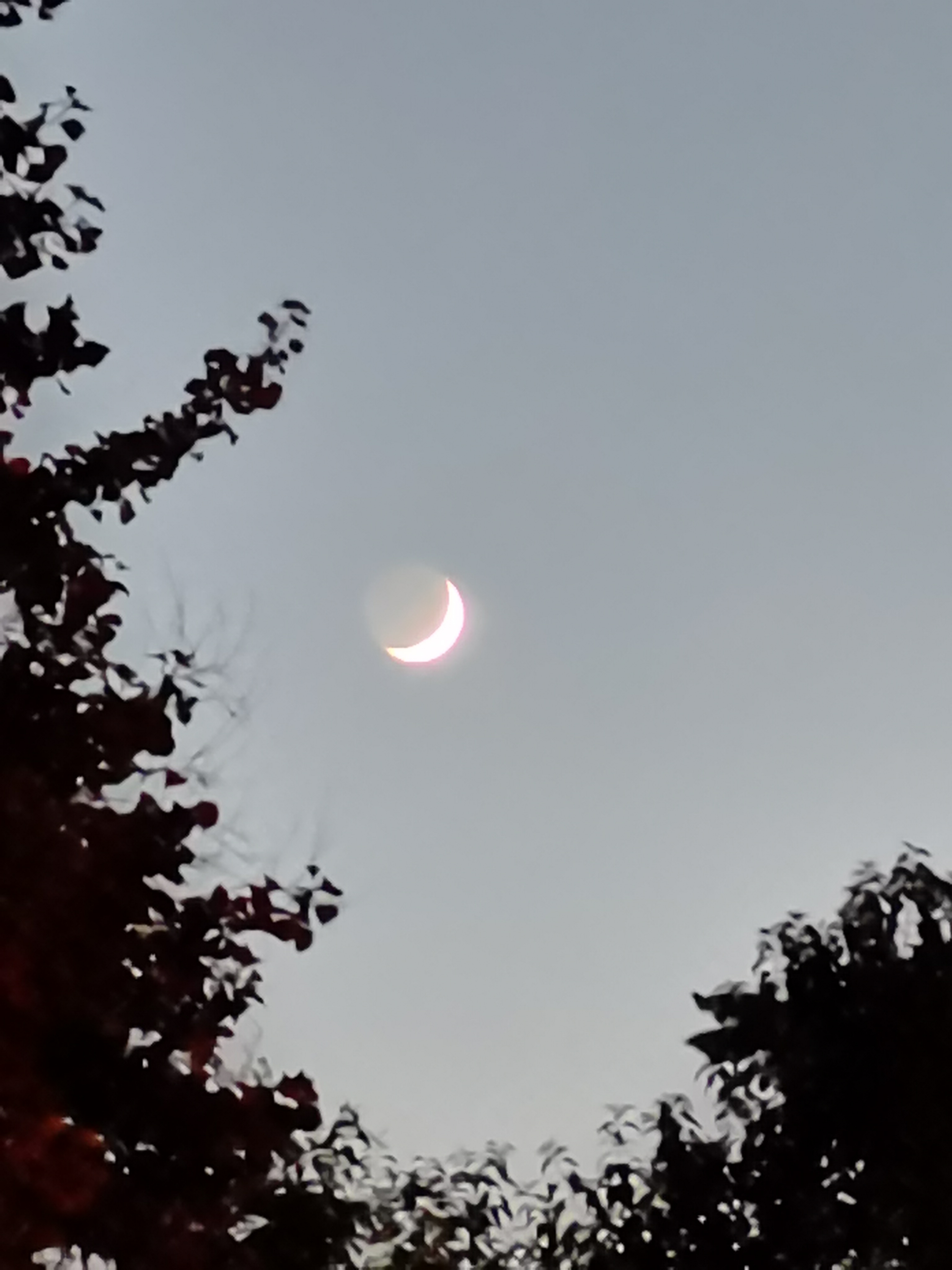 分享你的家乡夜景#弯弯的月亮[鲜花][鲜花][鲜花][鲜花] 昨天(8月7日