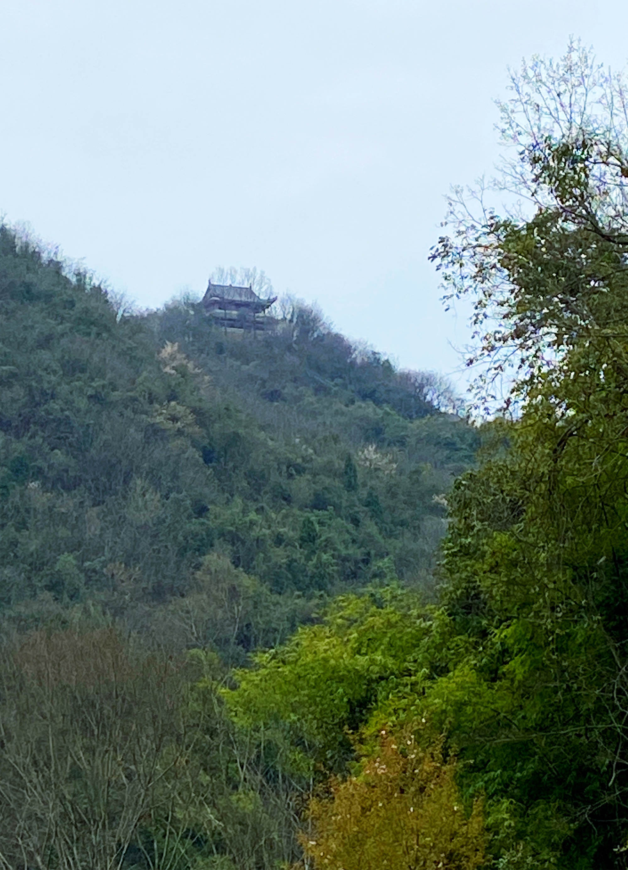 仙台山道观图片