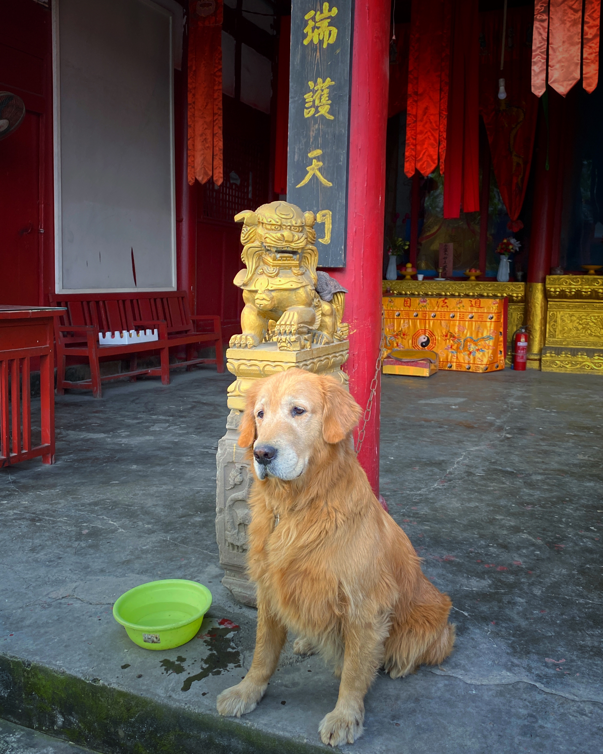 内江玉皇观道长图片