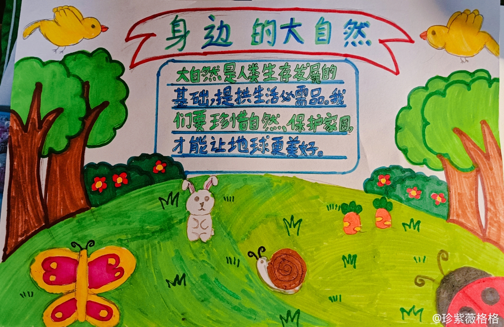 身边的大自然手抄报