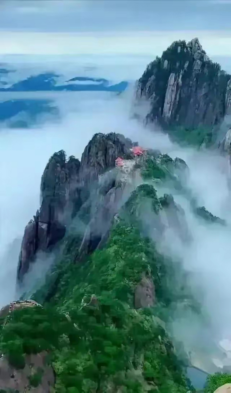 为什么只能发图片,不能发视频?哪位网友知道,请告知是怎么回事?