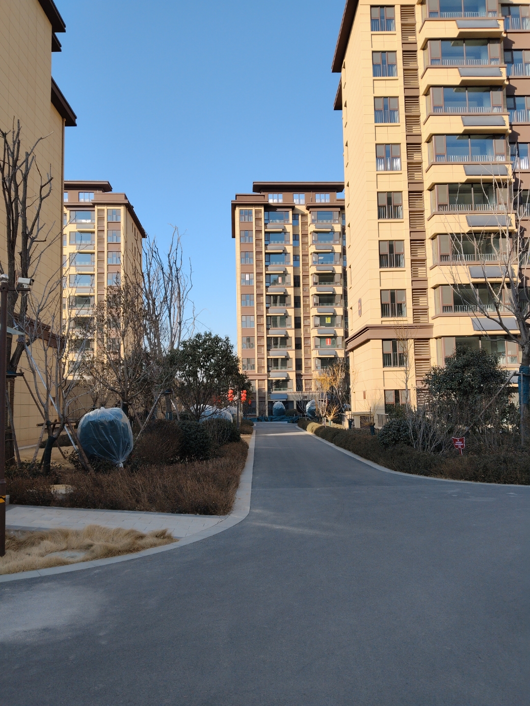 这个是我家的楼区,大家来看看我家的这个院子环境吗